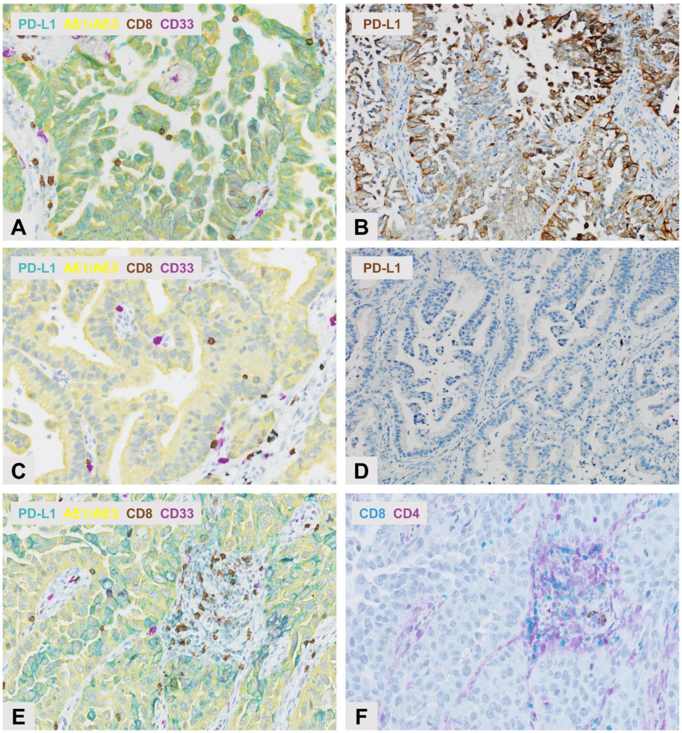 Cancers 10 00326 g001 Cancers 10 00326 g001