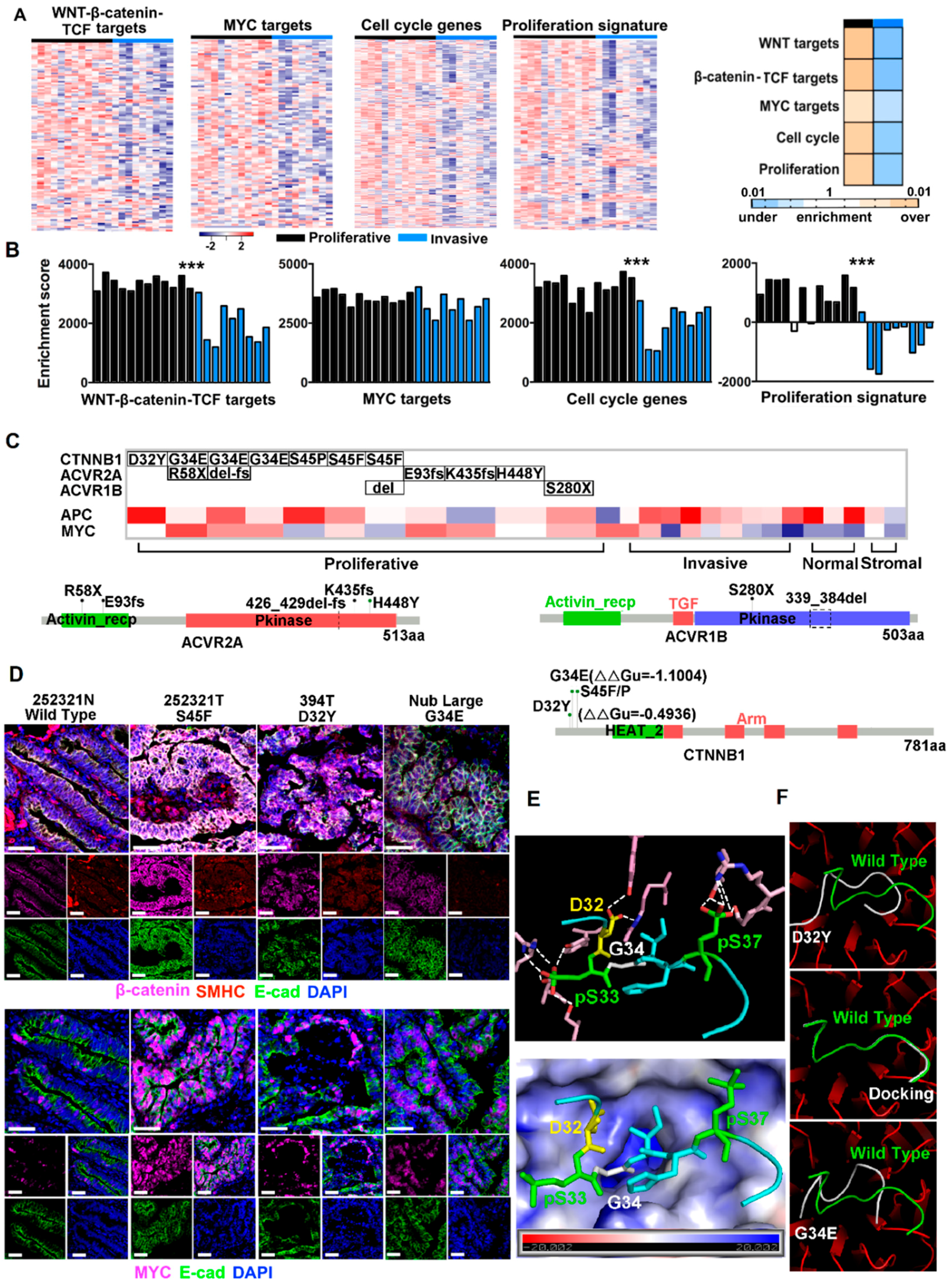 Cancers 10 00330 g002