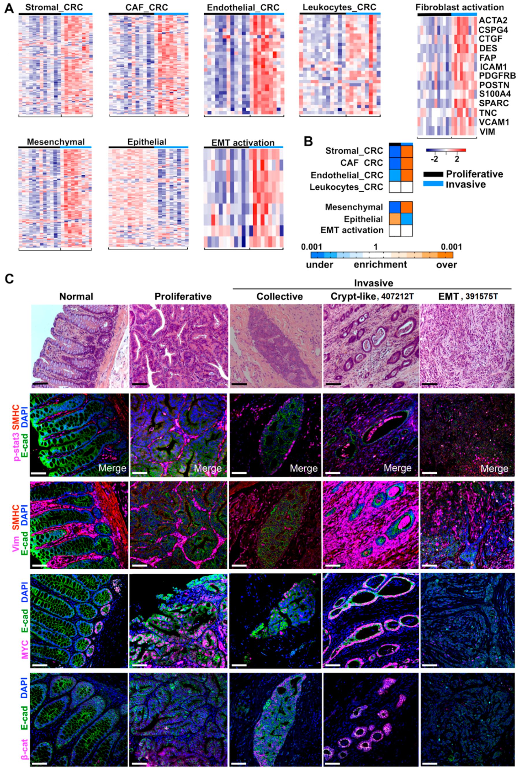 Cancers 10 00330 g003