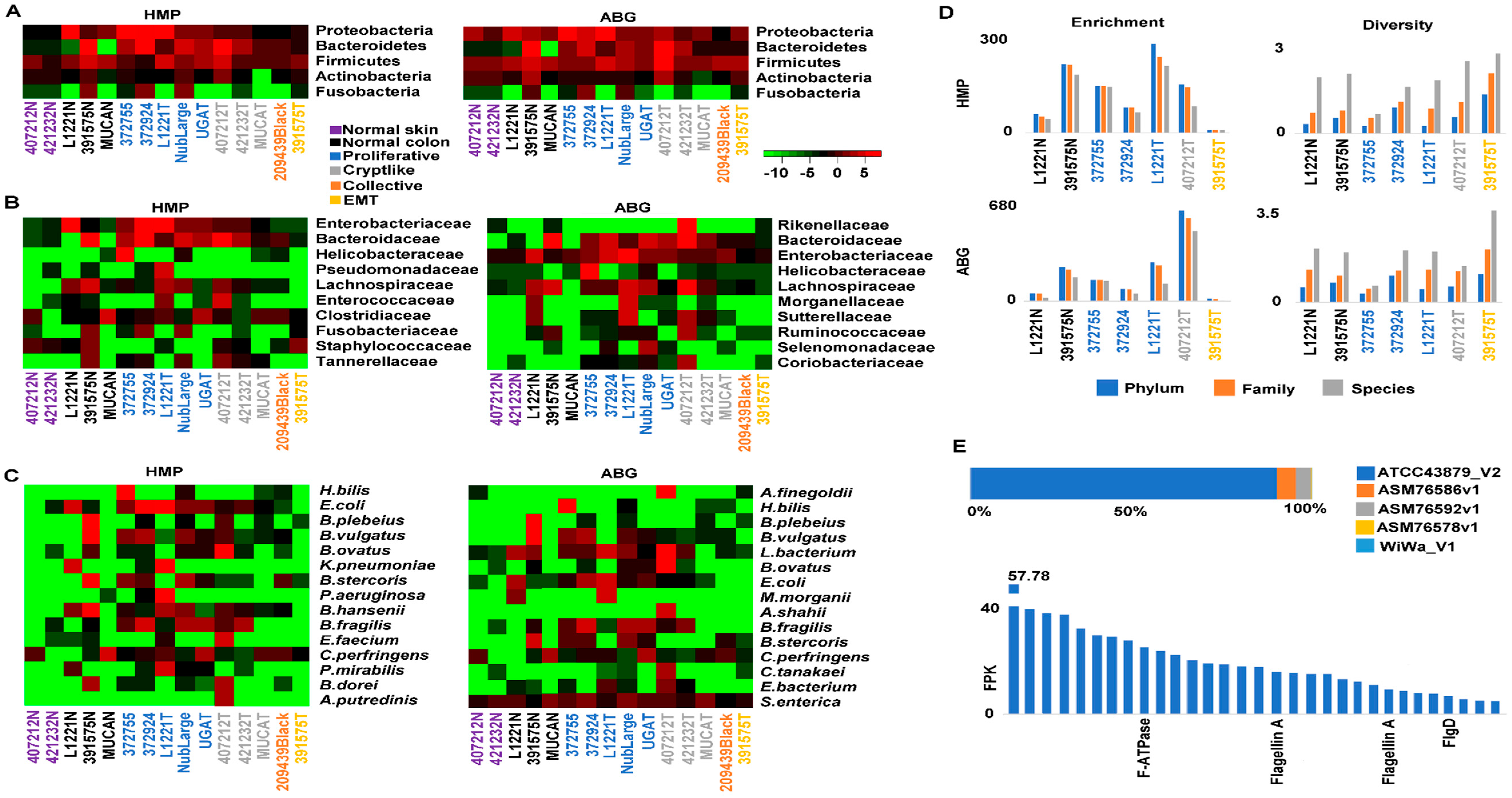 Cancers 10 00330 g004