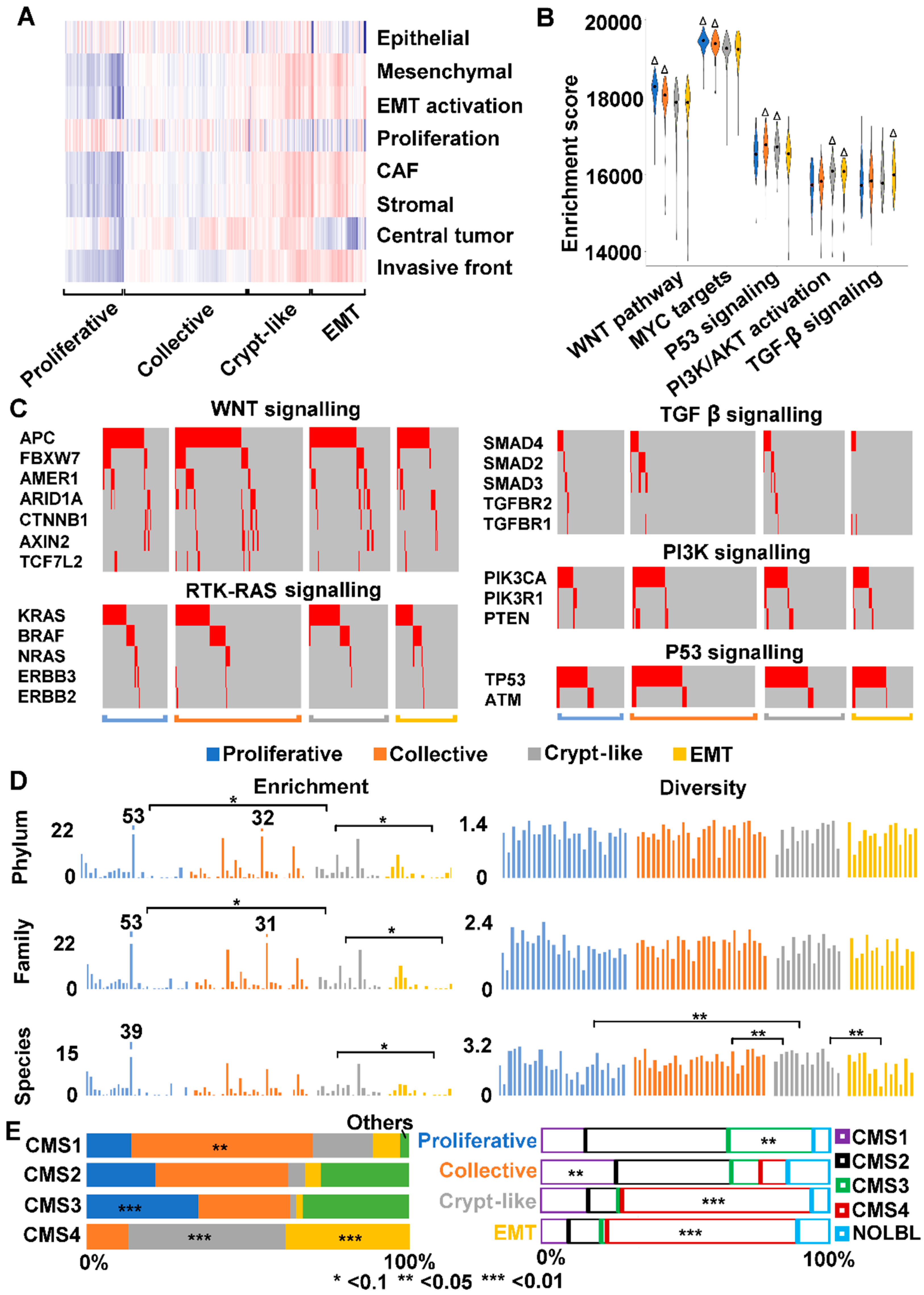 Cancers 10 00330 g006