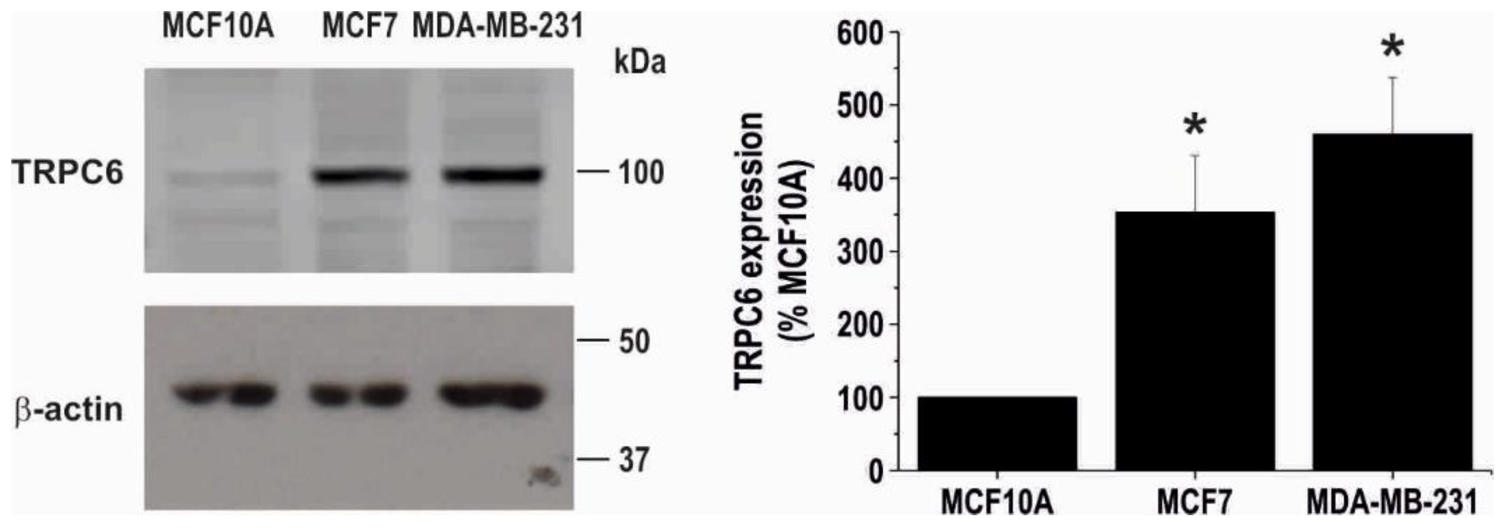 Cancers 10 00331 g001 Cancers 10 00331 g001