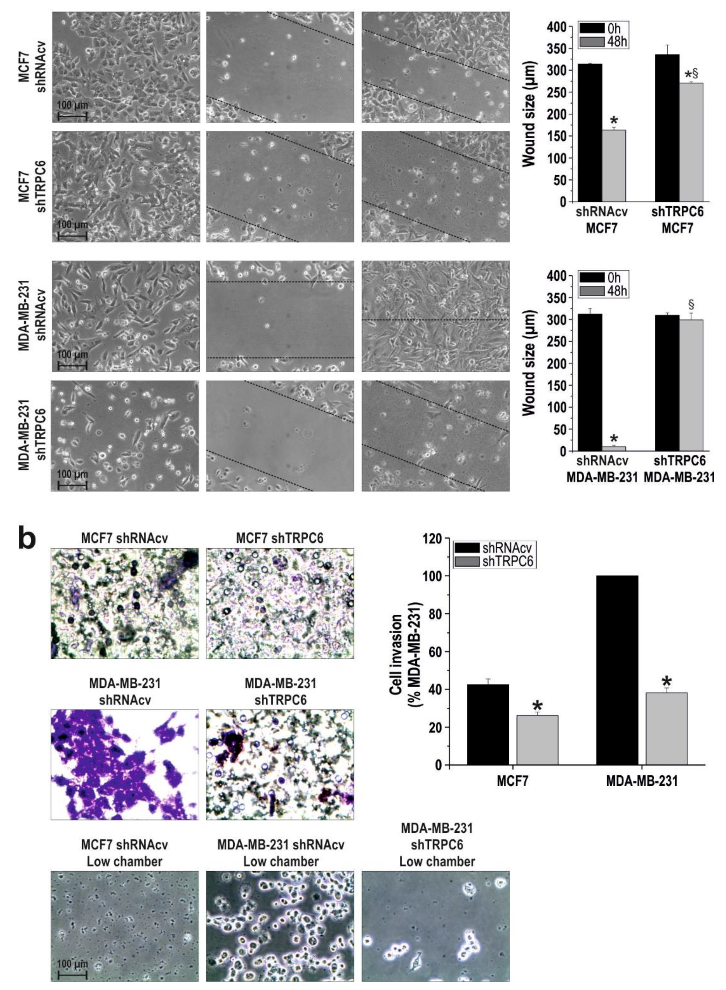 Cancers 10 00331 g003b Cancers 10 00331 g003b