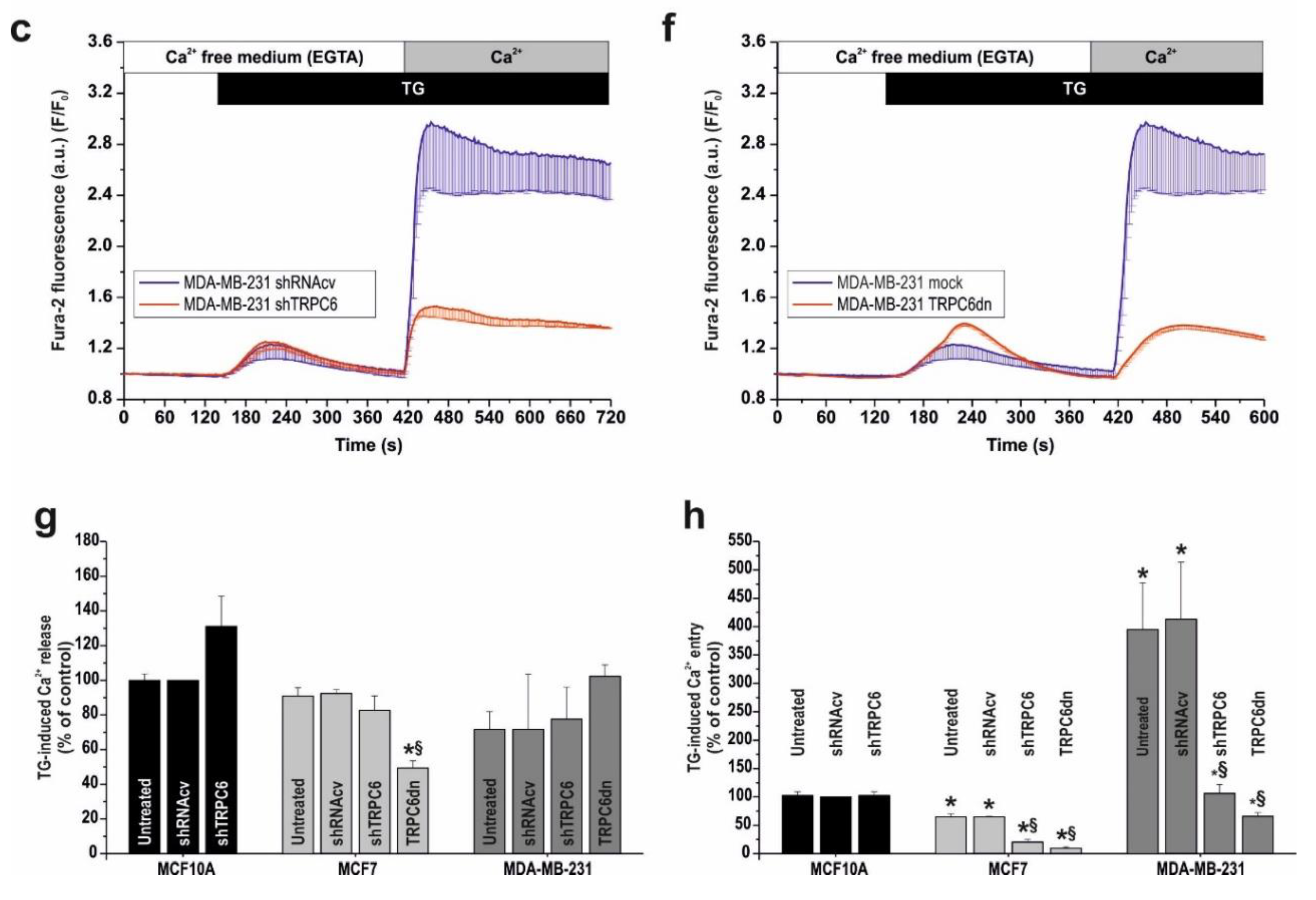 Cancers 10 00331 g005b Cancers 10 00331 g005b