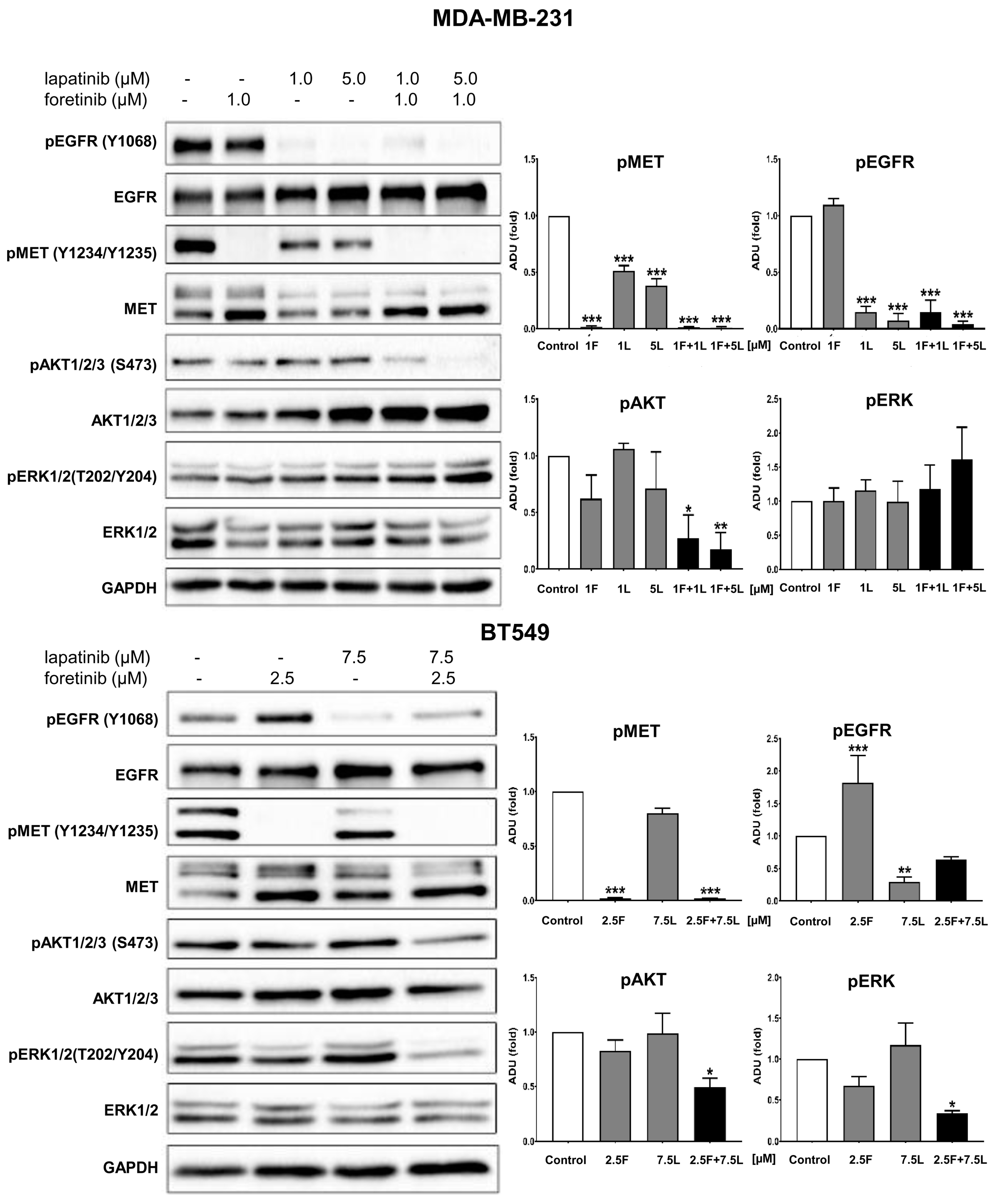 Cancers 10 00335 g002
