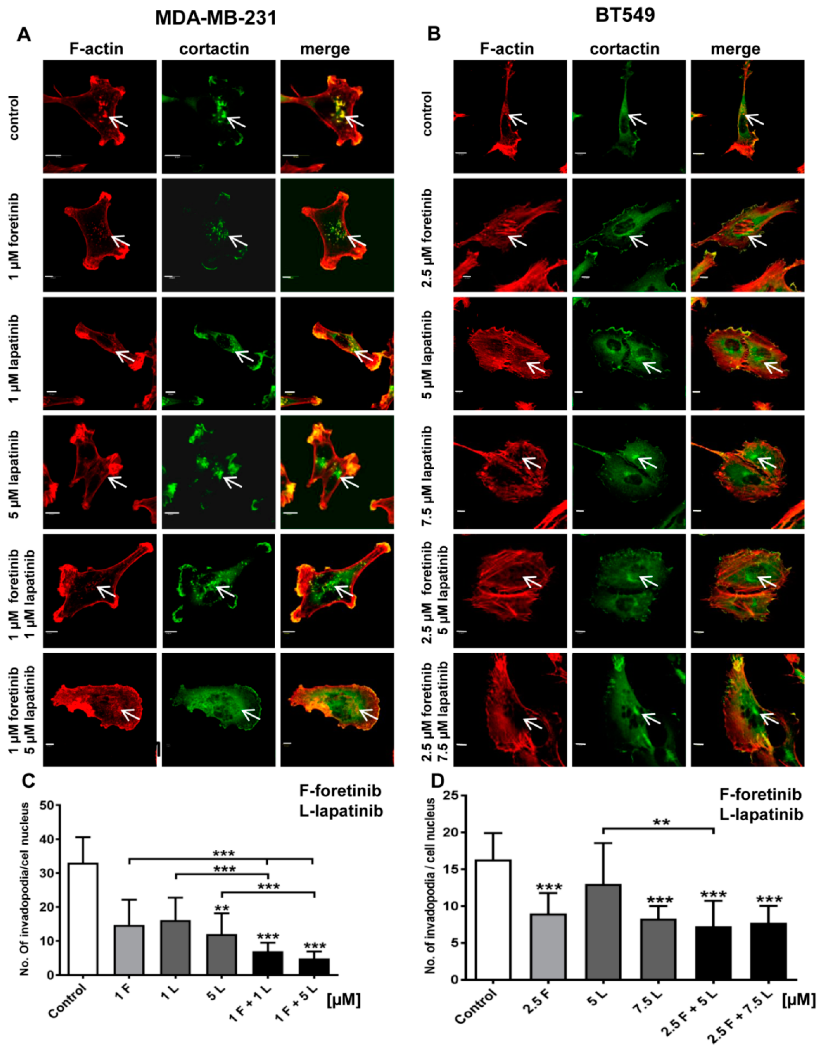 Cancers 10 00335 g004