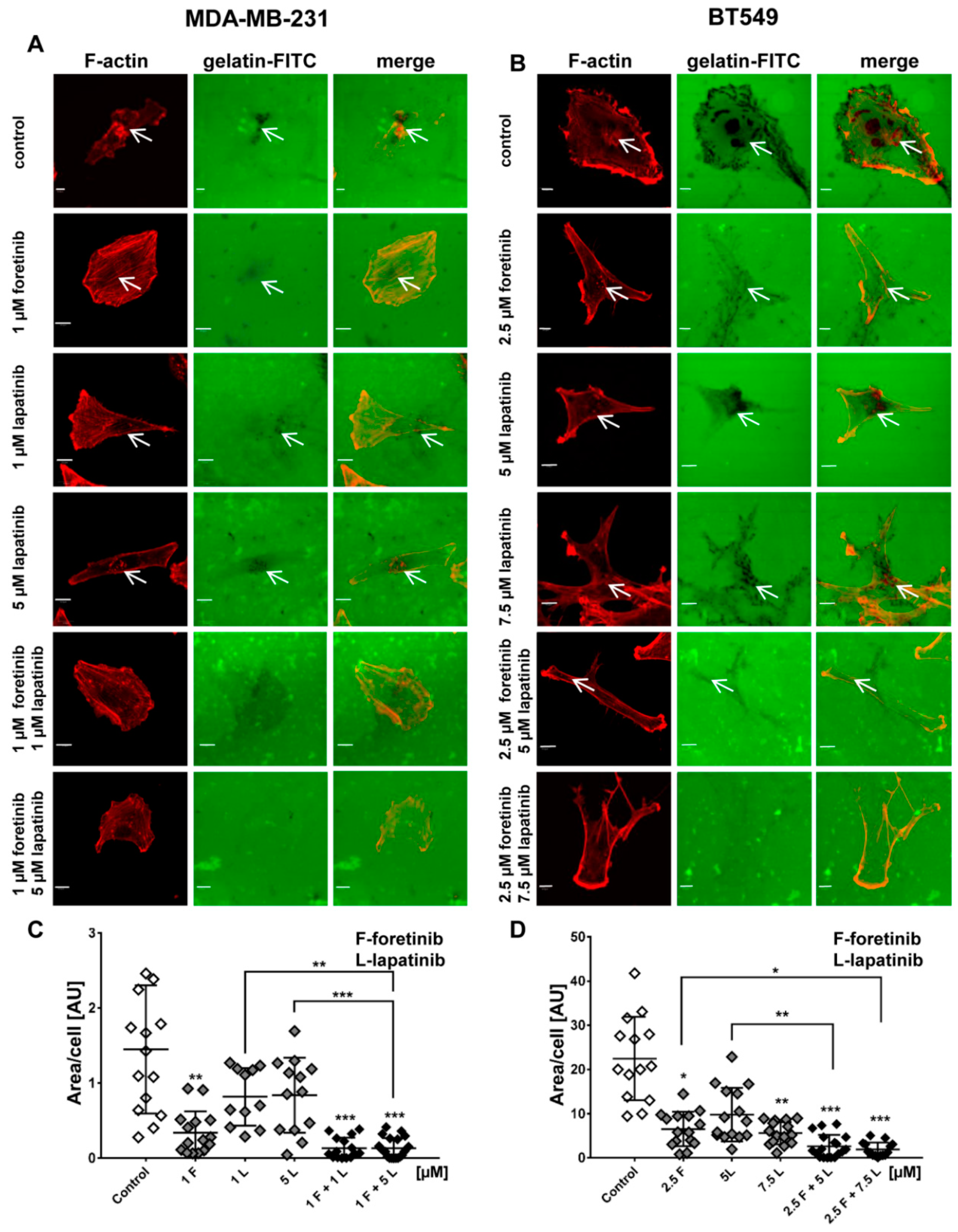 Cancers 10 00335 g005