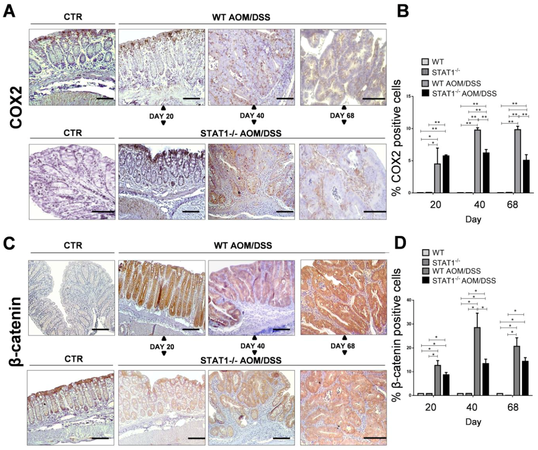 Cancers 10 00341 g004