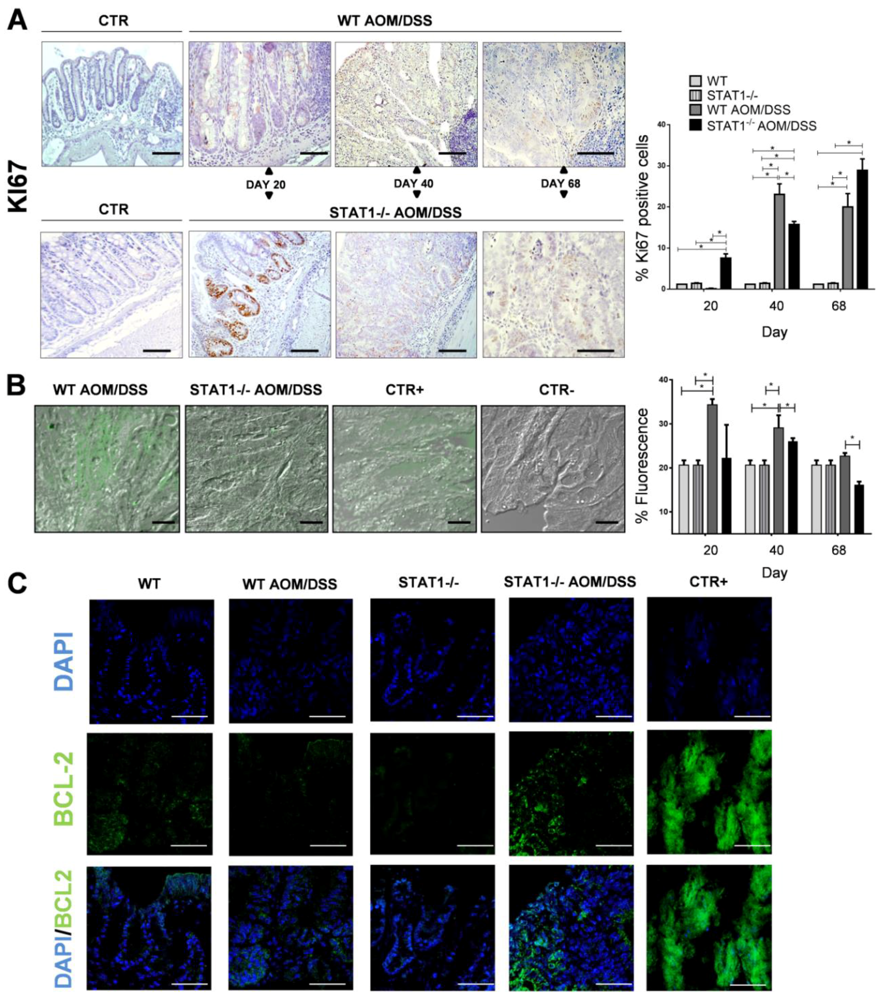 Cancers 10 00341 g005