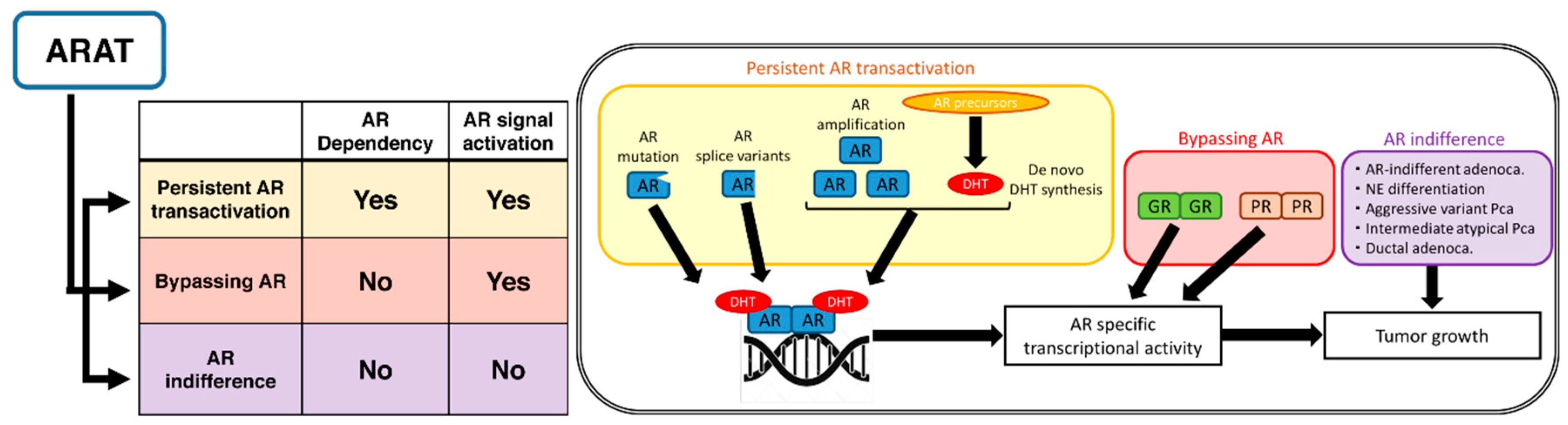 Cancers 10 00345 g001 Cancers 10 00345 g001