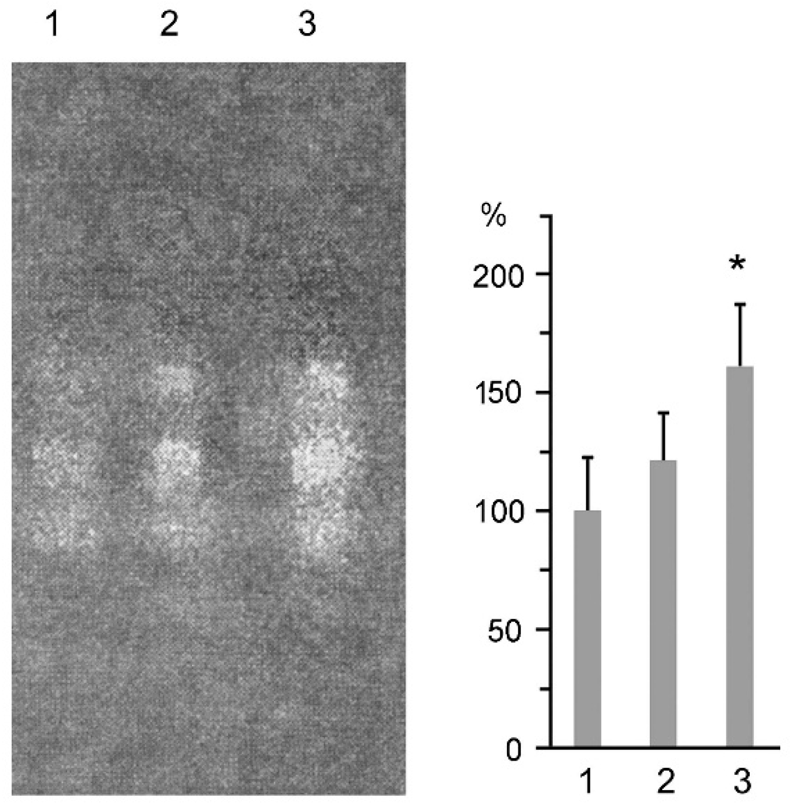 Cancers 10 00351 g004