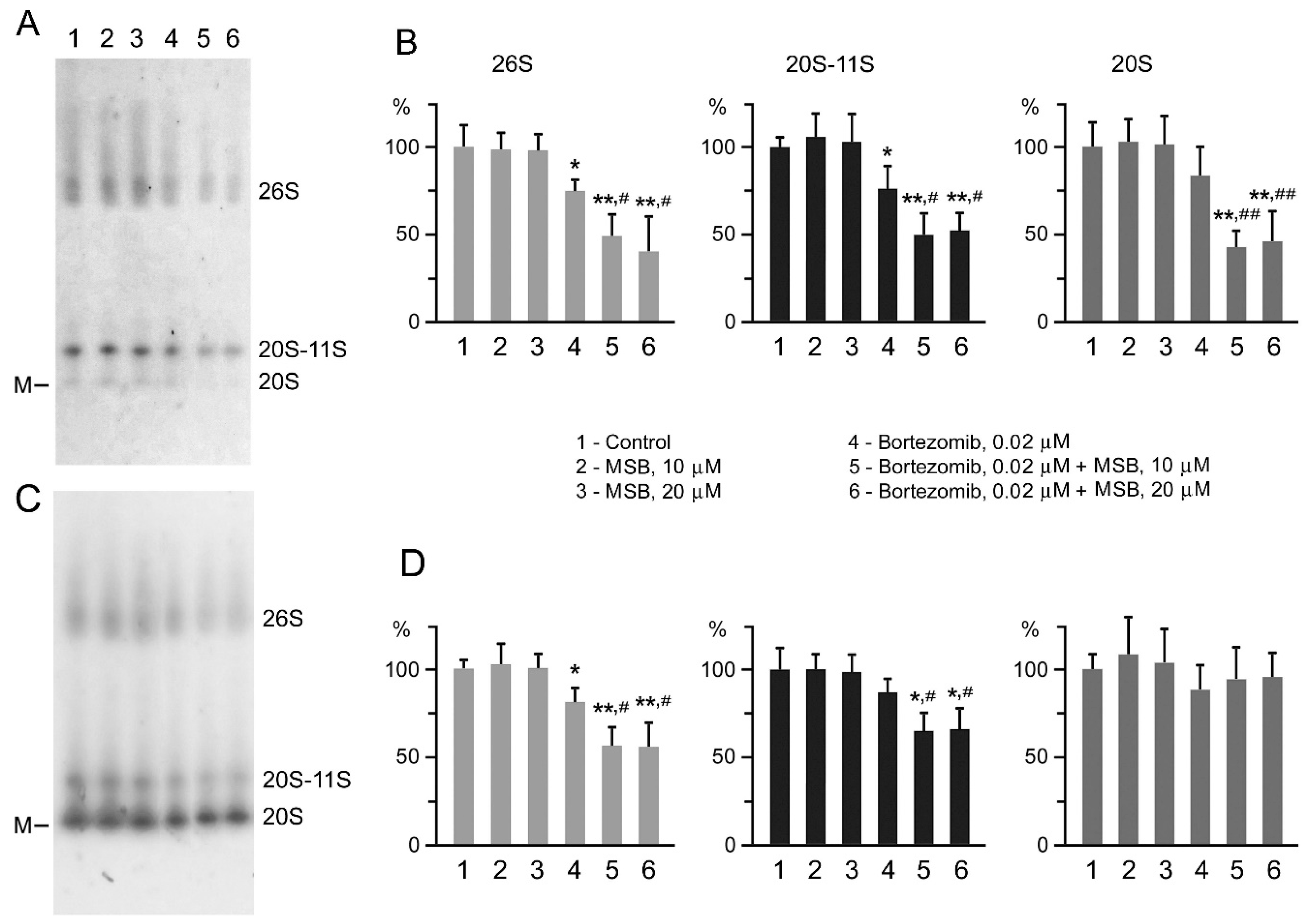 Cancers 10 00351 g006