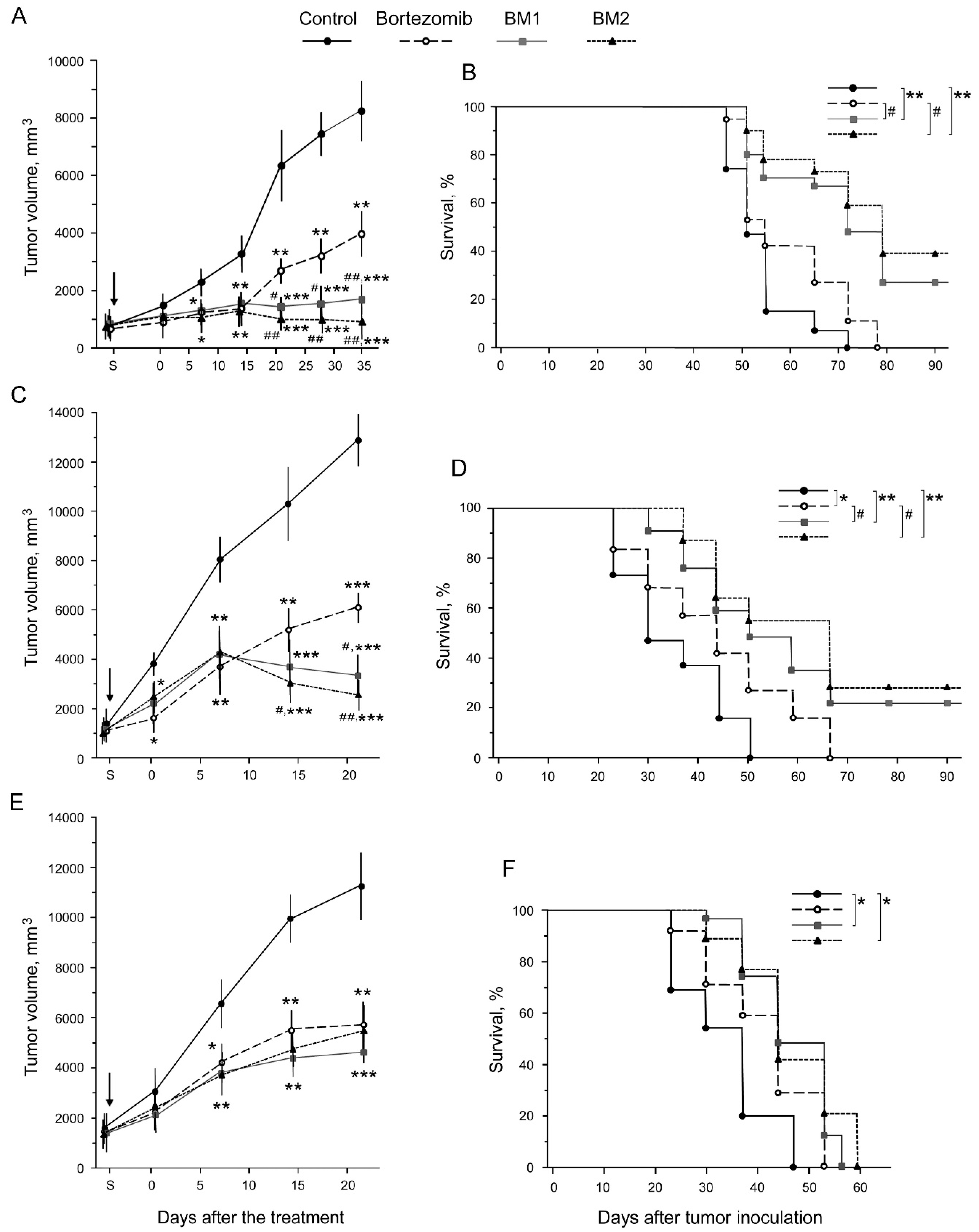 Cancers 10 00351 g010