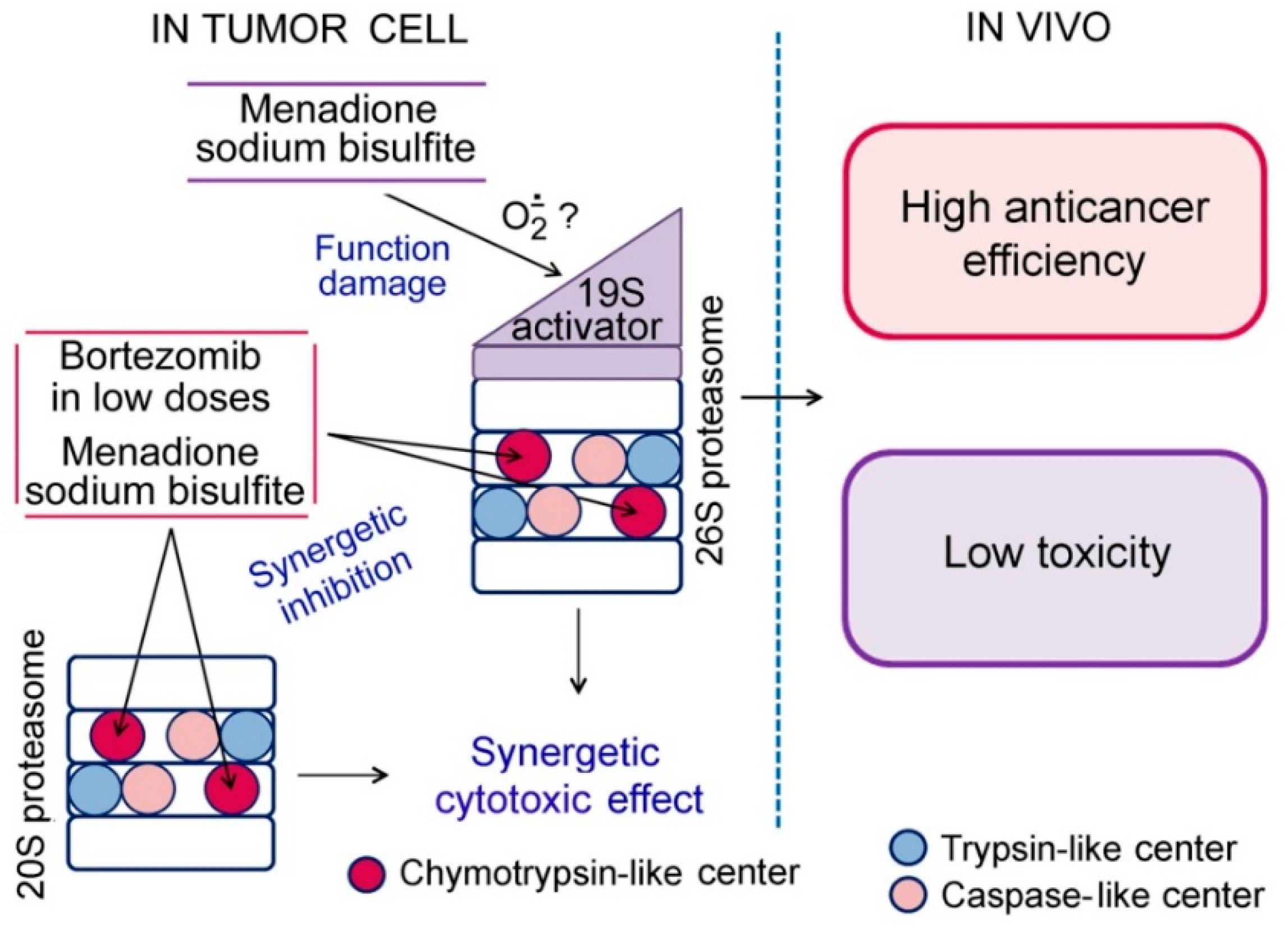 Cancers 10 00351 g011