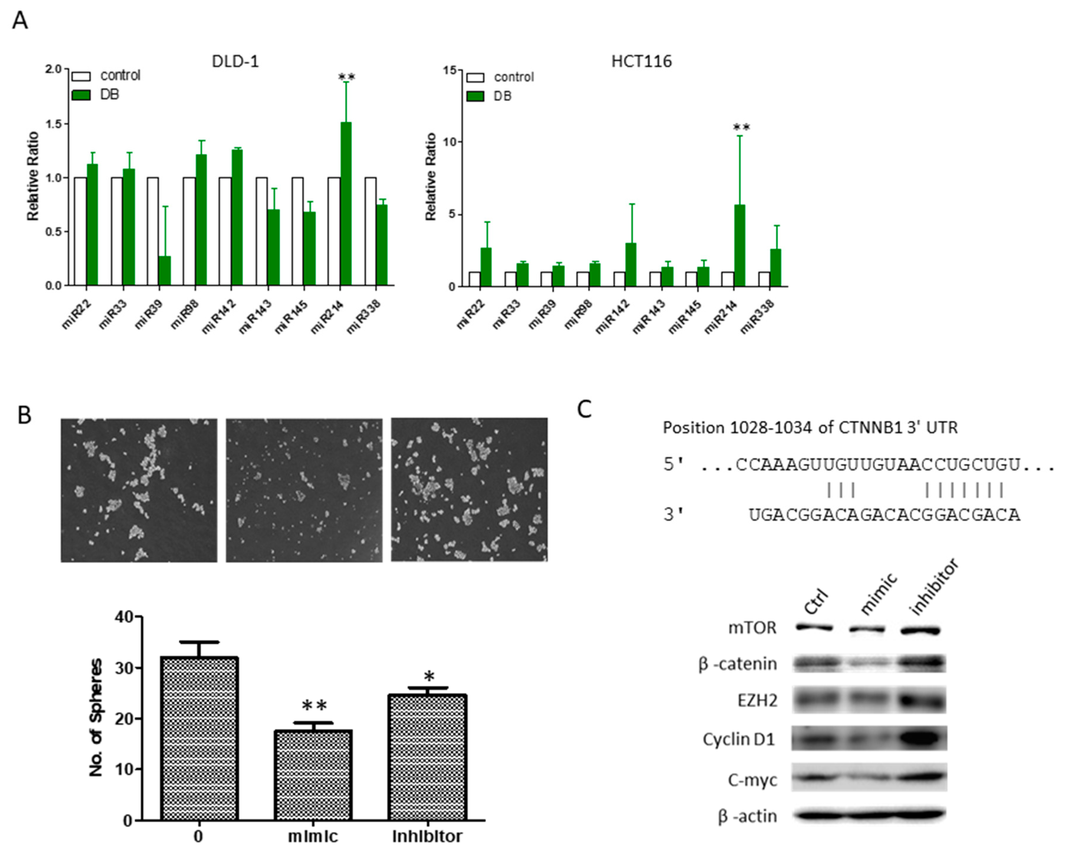 Cancers 10 00353 g006