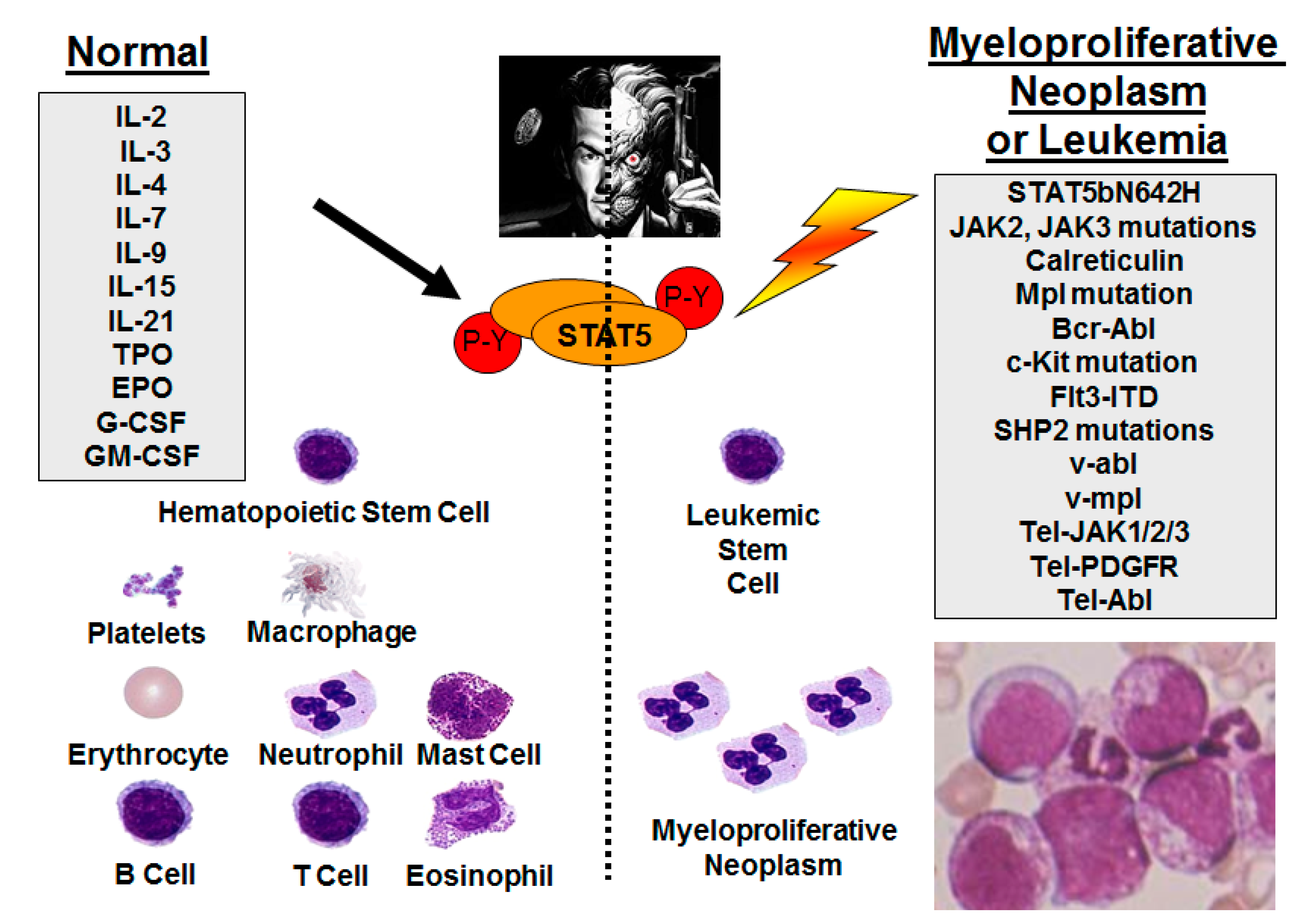 Cancers 10 00359 g001