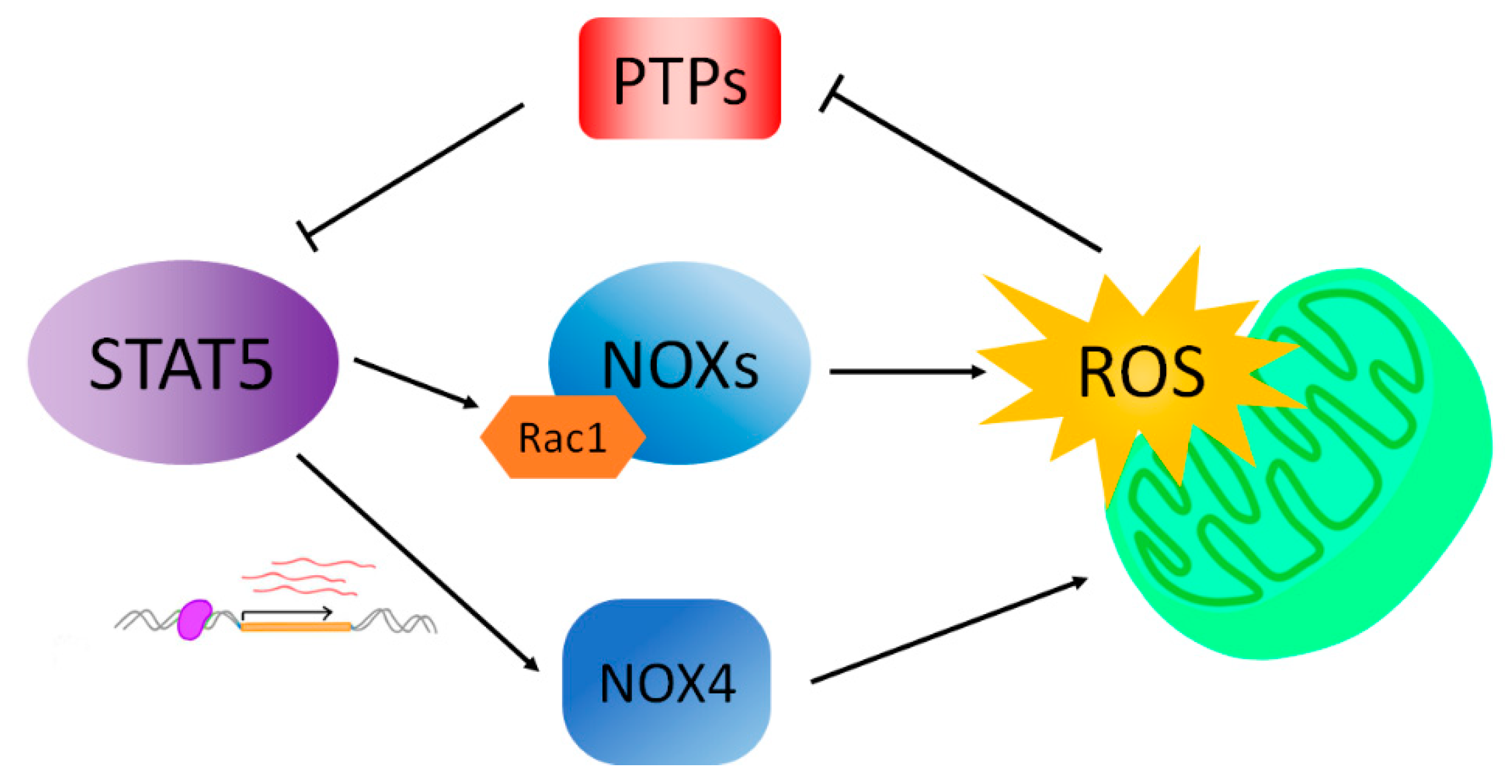 Cancers 10 00359 g002