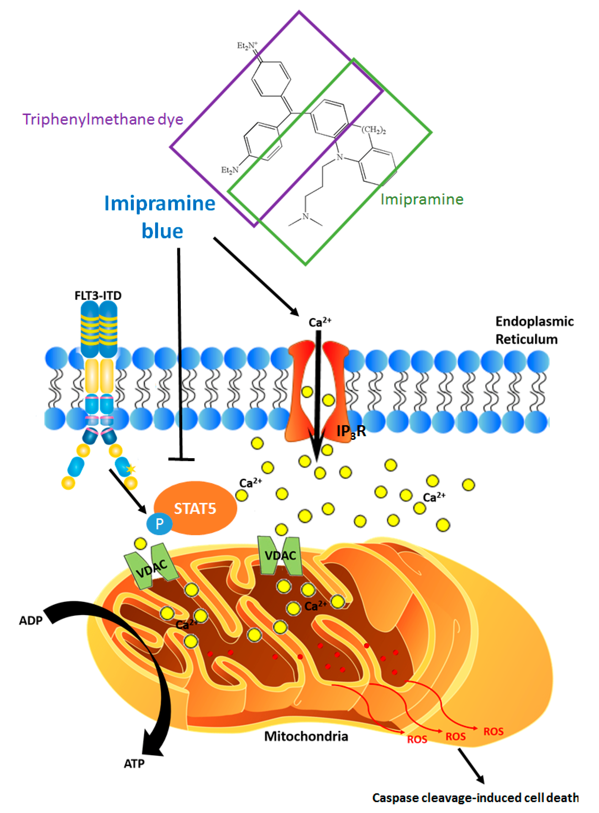 Cancers 10 00359 g003