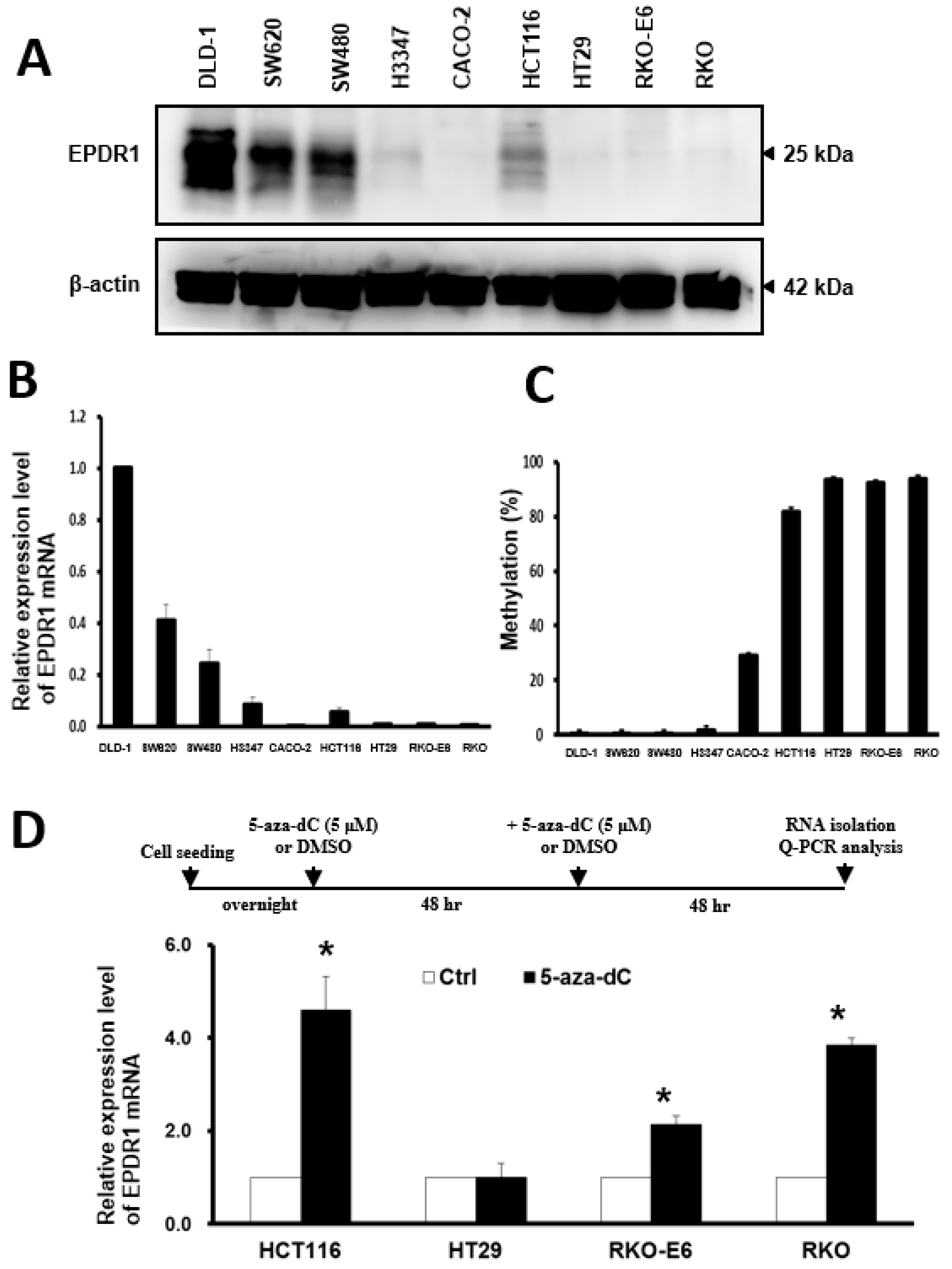 Cancers 10 00393 g004 Cancers 10 00393 g004