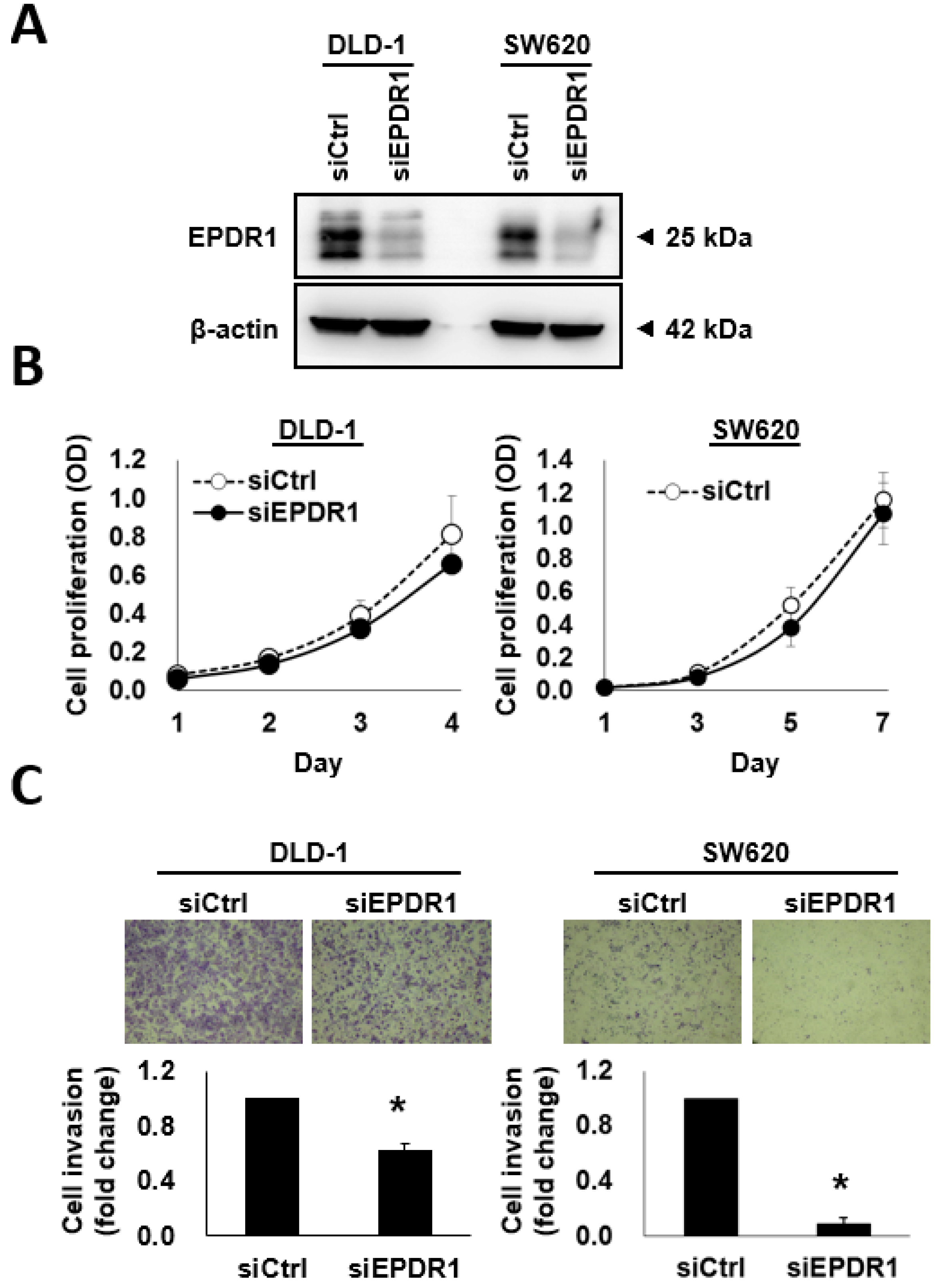Cancers 10 00393 g005 Cancers 10 00393 g005