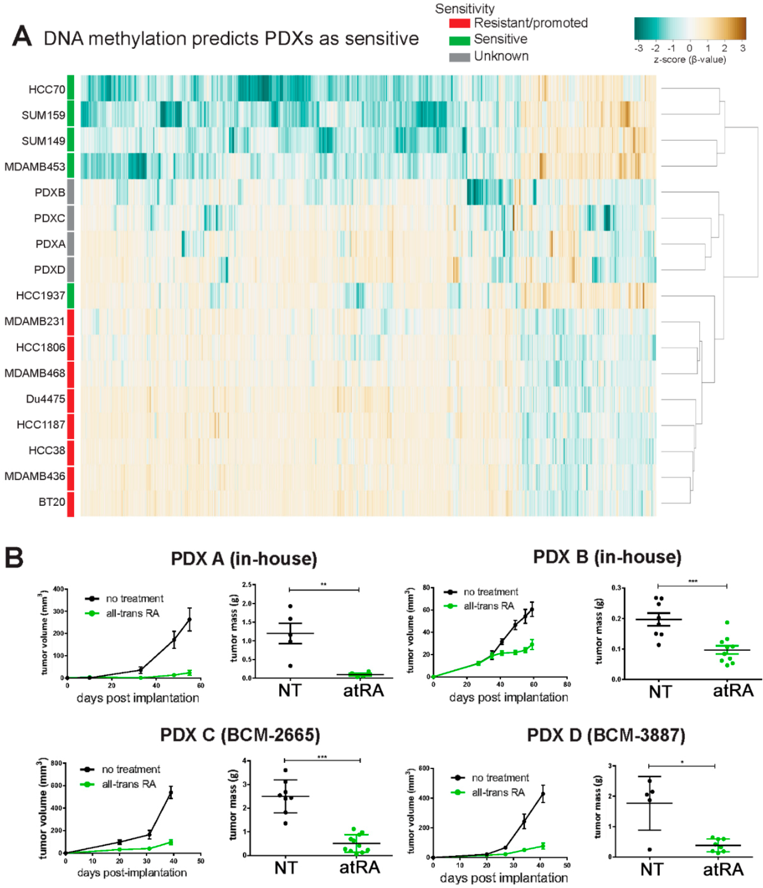 Cancers 10 00397 g005 Cancers 10 00397 g005