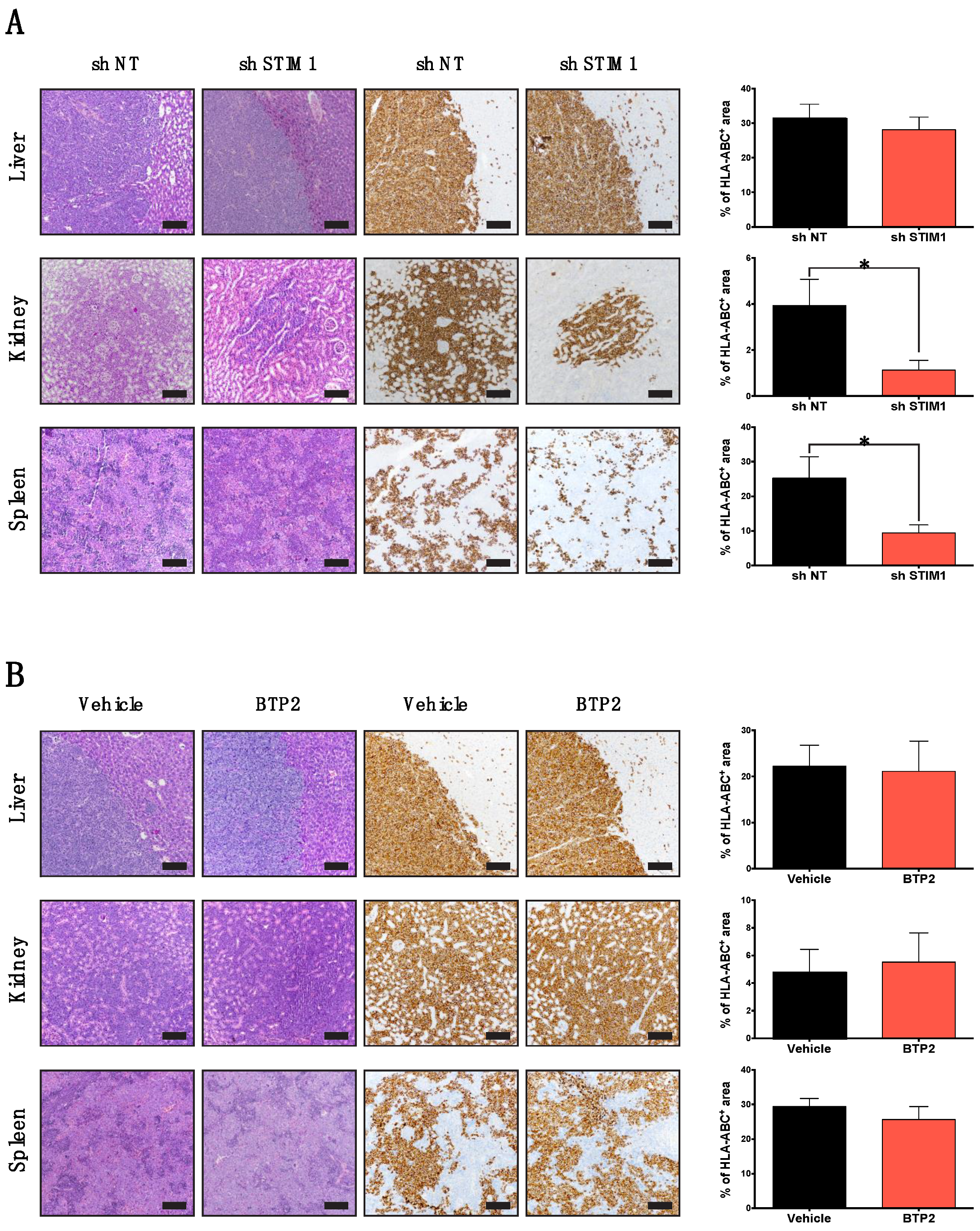 Cancers 10 00402 g003