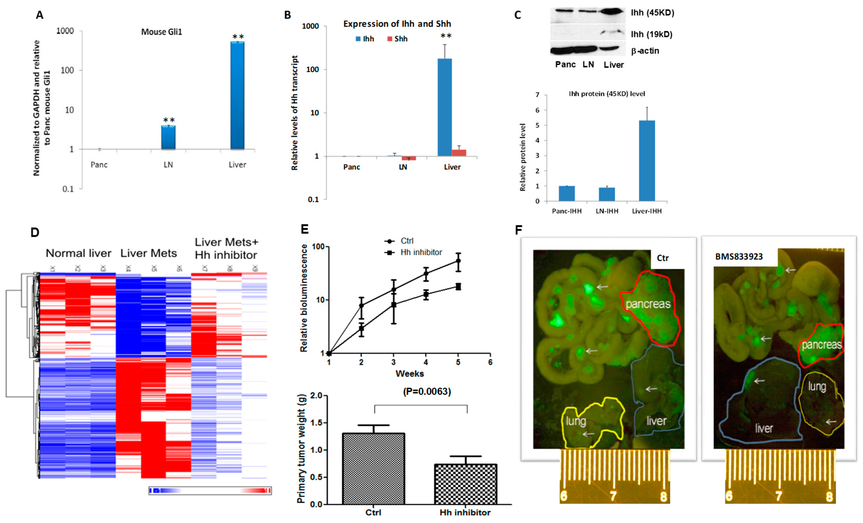 Cancers 10 00403 g001