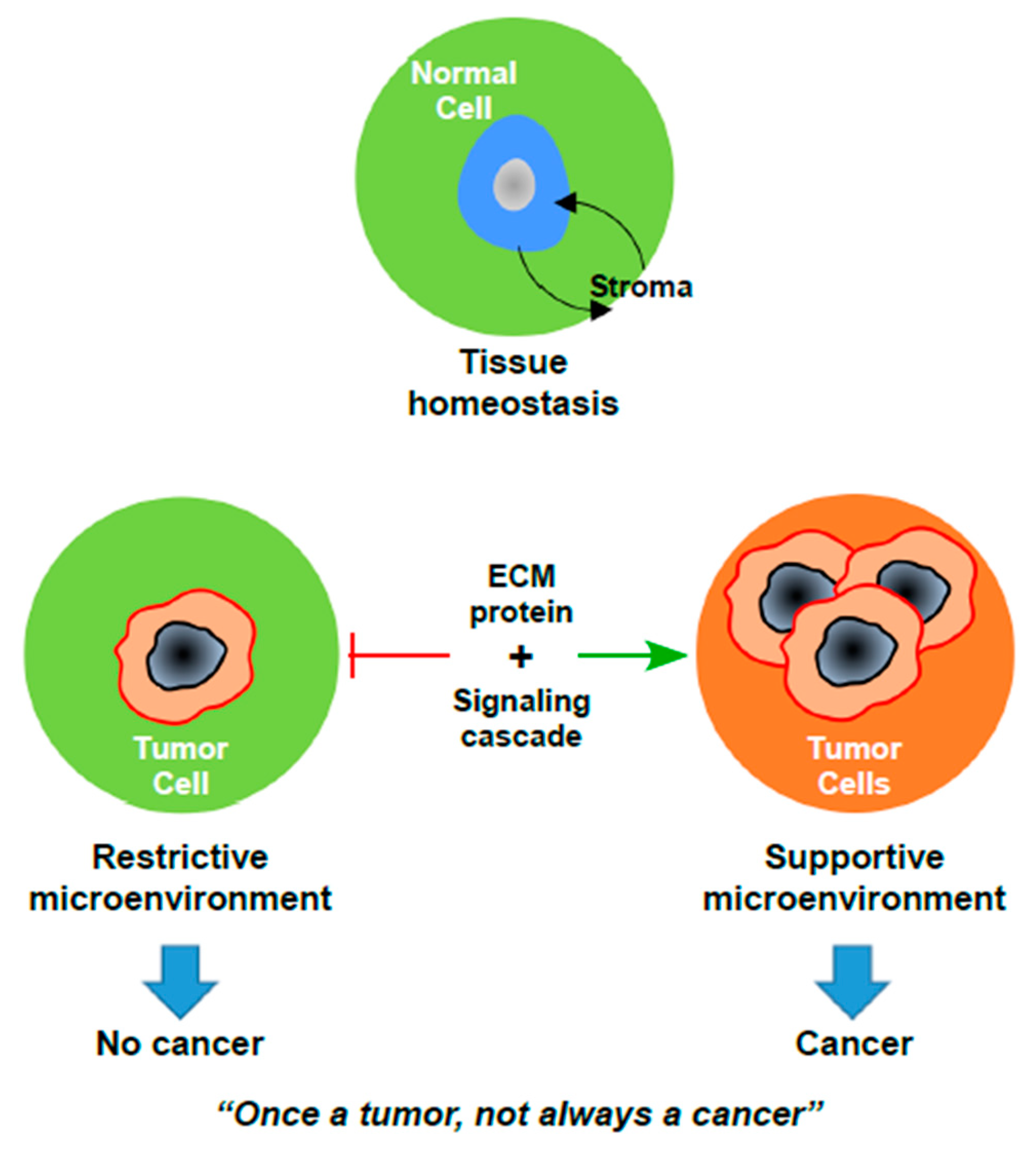 Cancers 10 00408 g001 Cancers 10 00408 g001