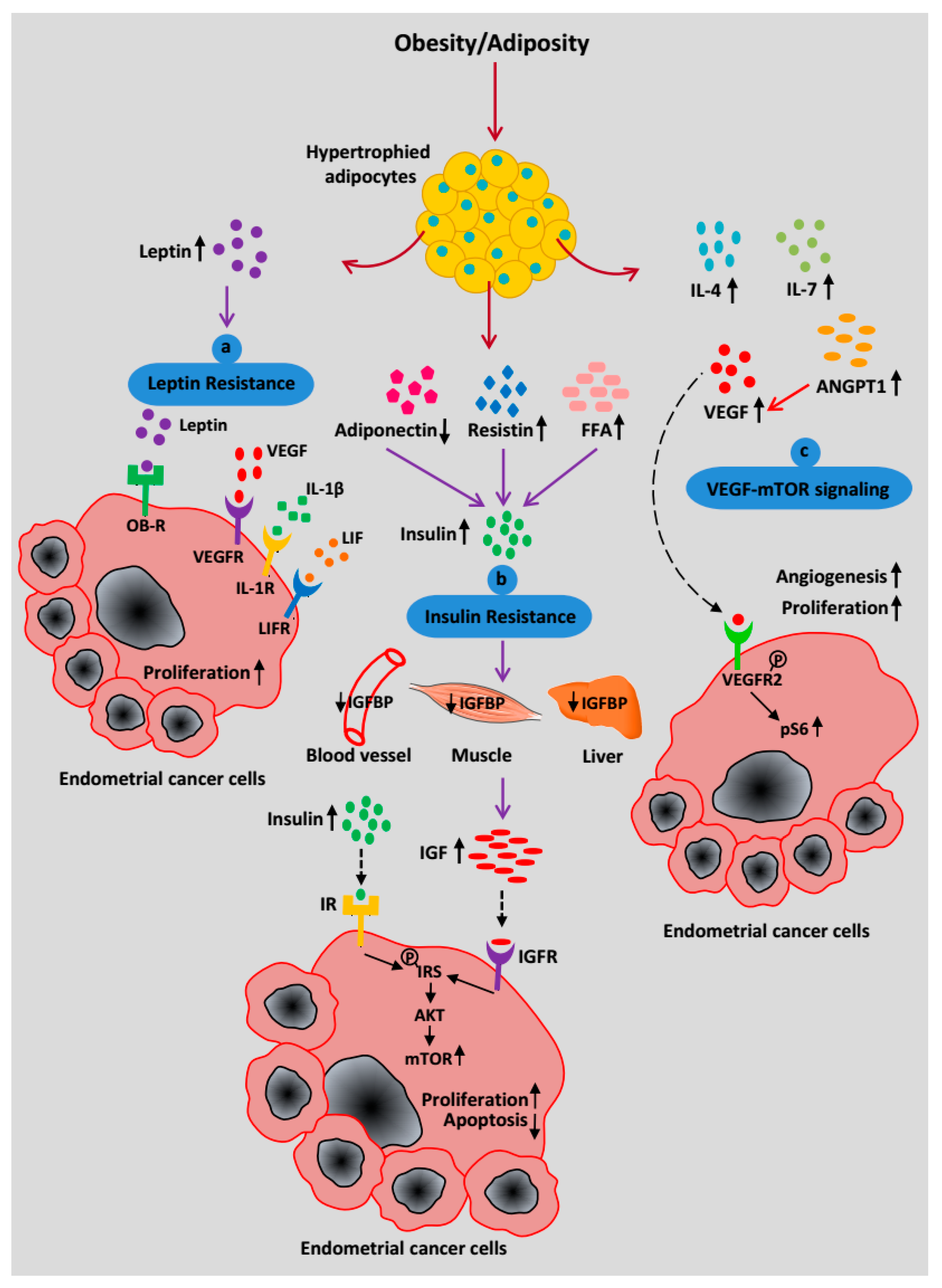Cancers 10 00408 g003 Cancers 10 00408 g003