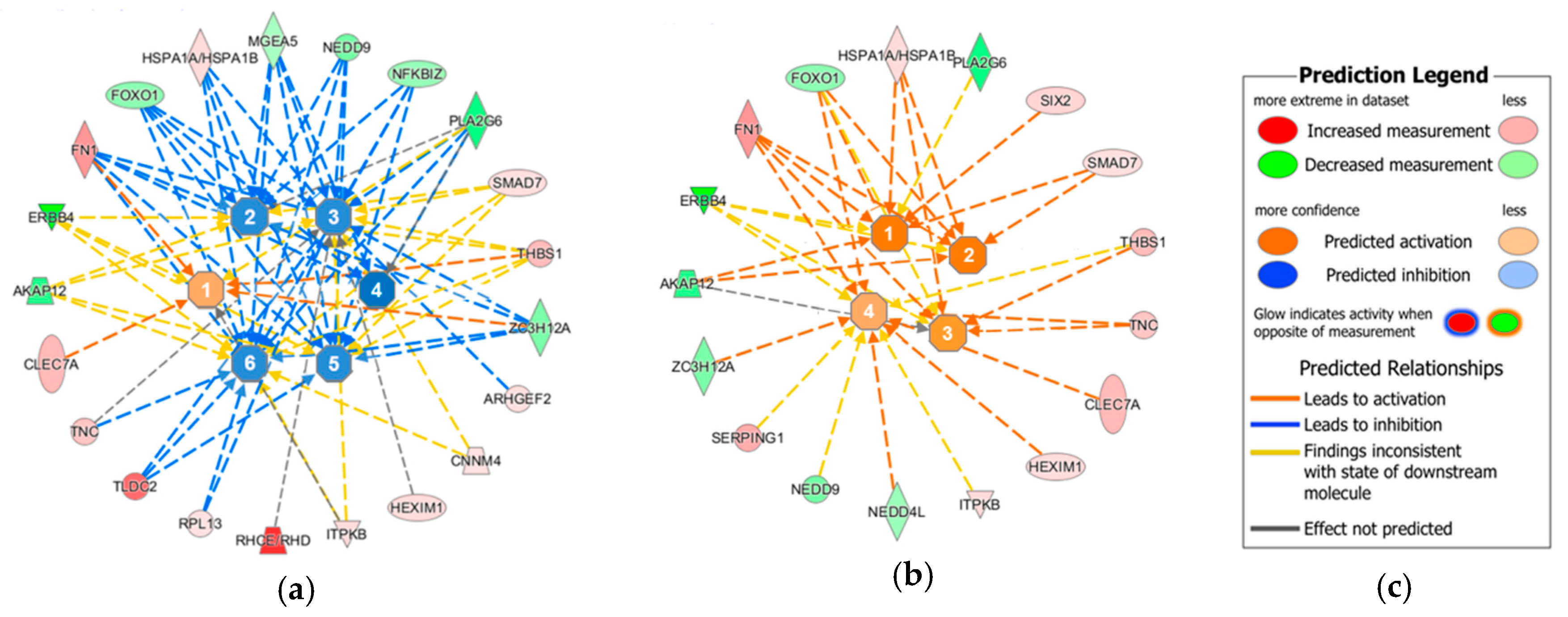 Cancers 10 00410 g002 Cancers 10 00410 g002