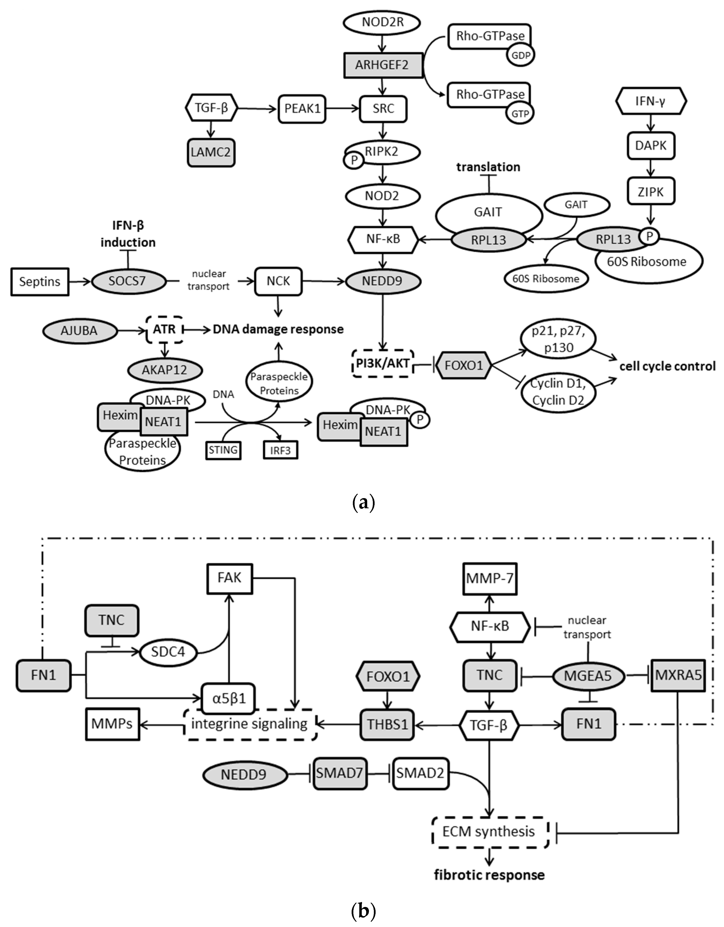 Cancers 10 00410 g004 Cancers 10 00410 g004