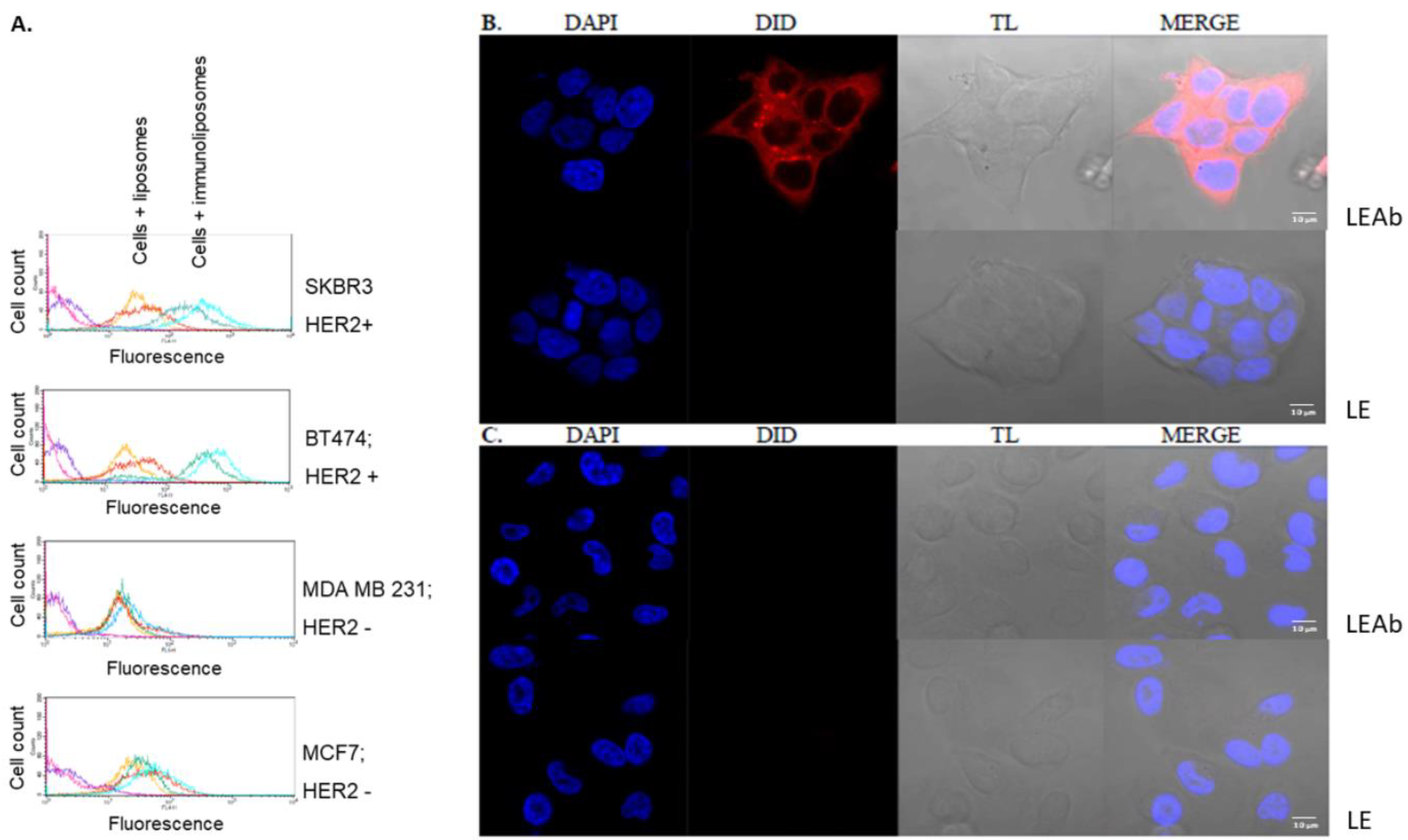 Cancers 10 00418 g006 Cancers 10 00418 g006