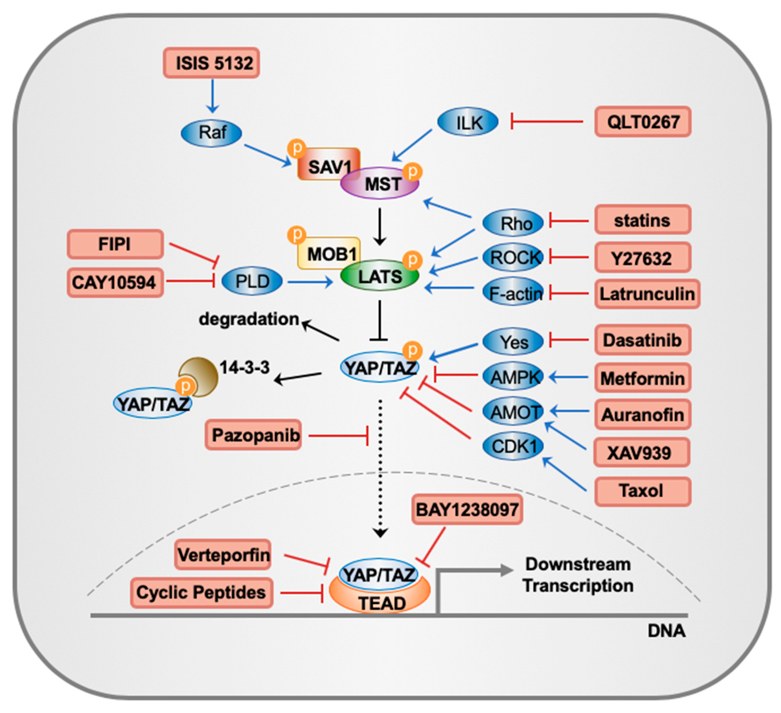 Cancers 10 00422 g001 Cancers 10 00422 g001