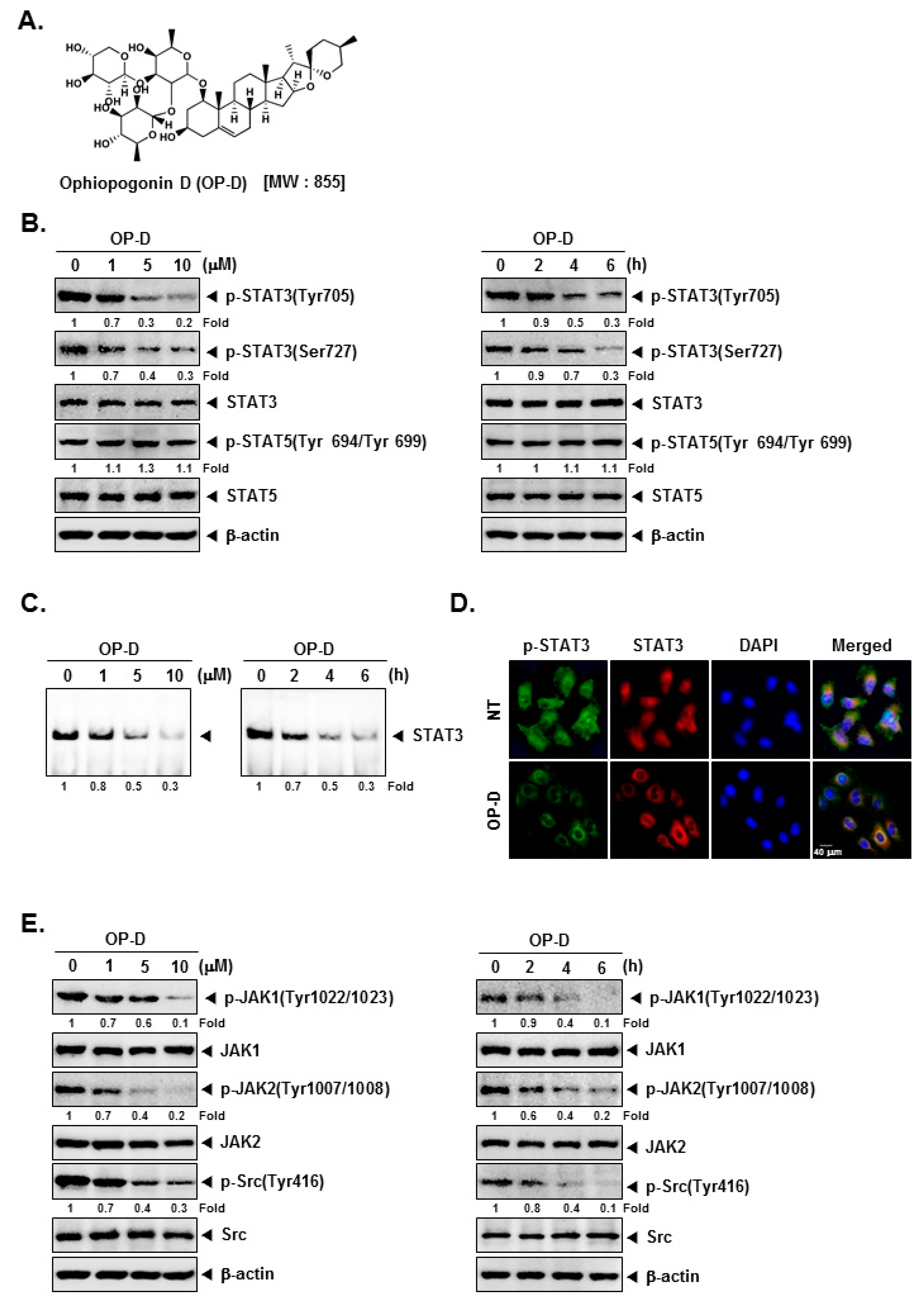 Cancers 10 00427 g001