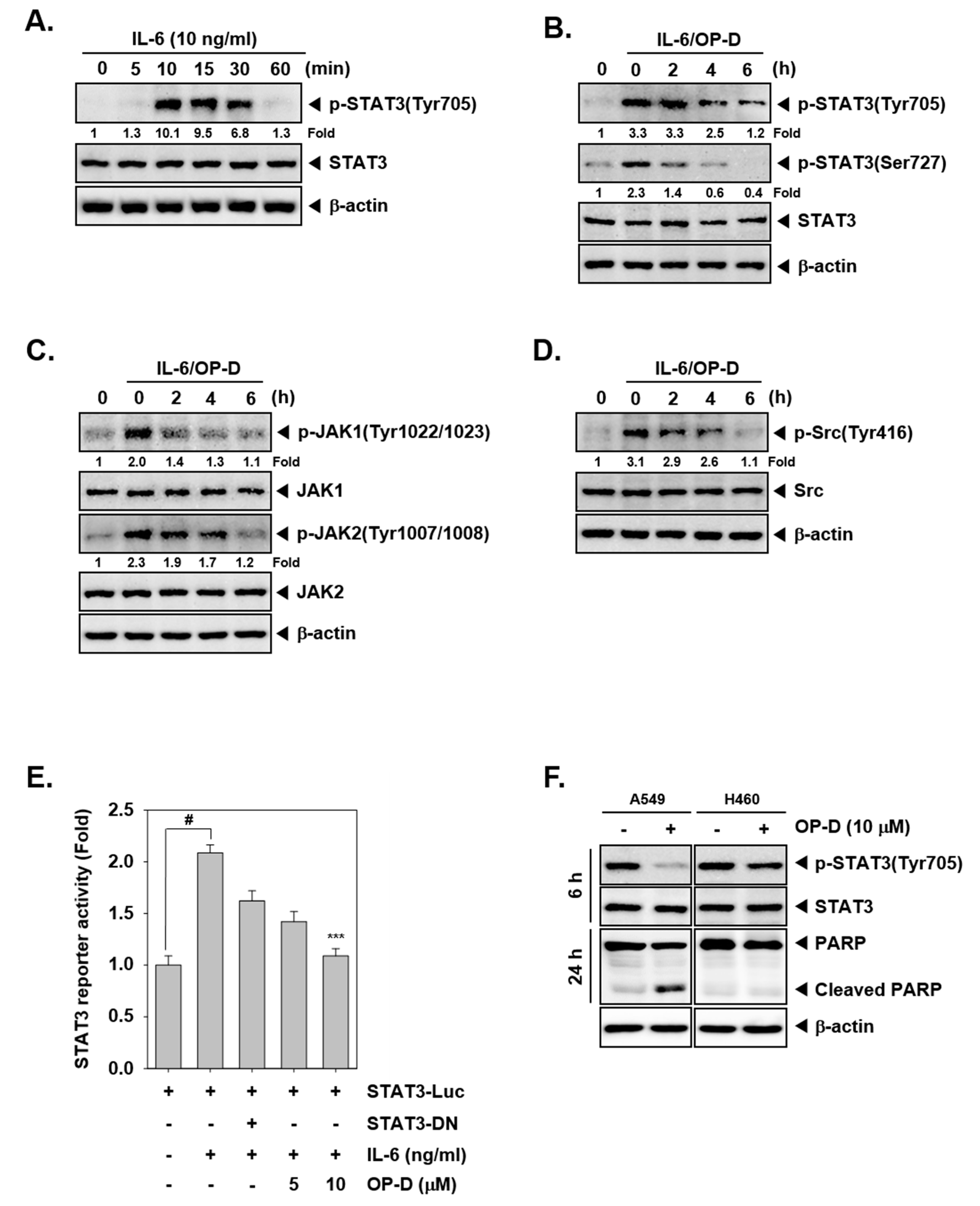 Cancers 10 00427 g002