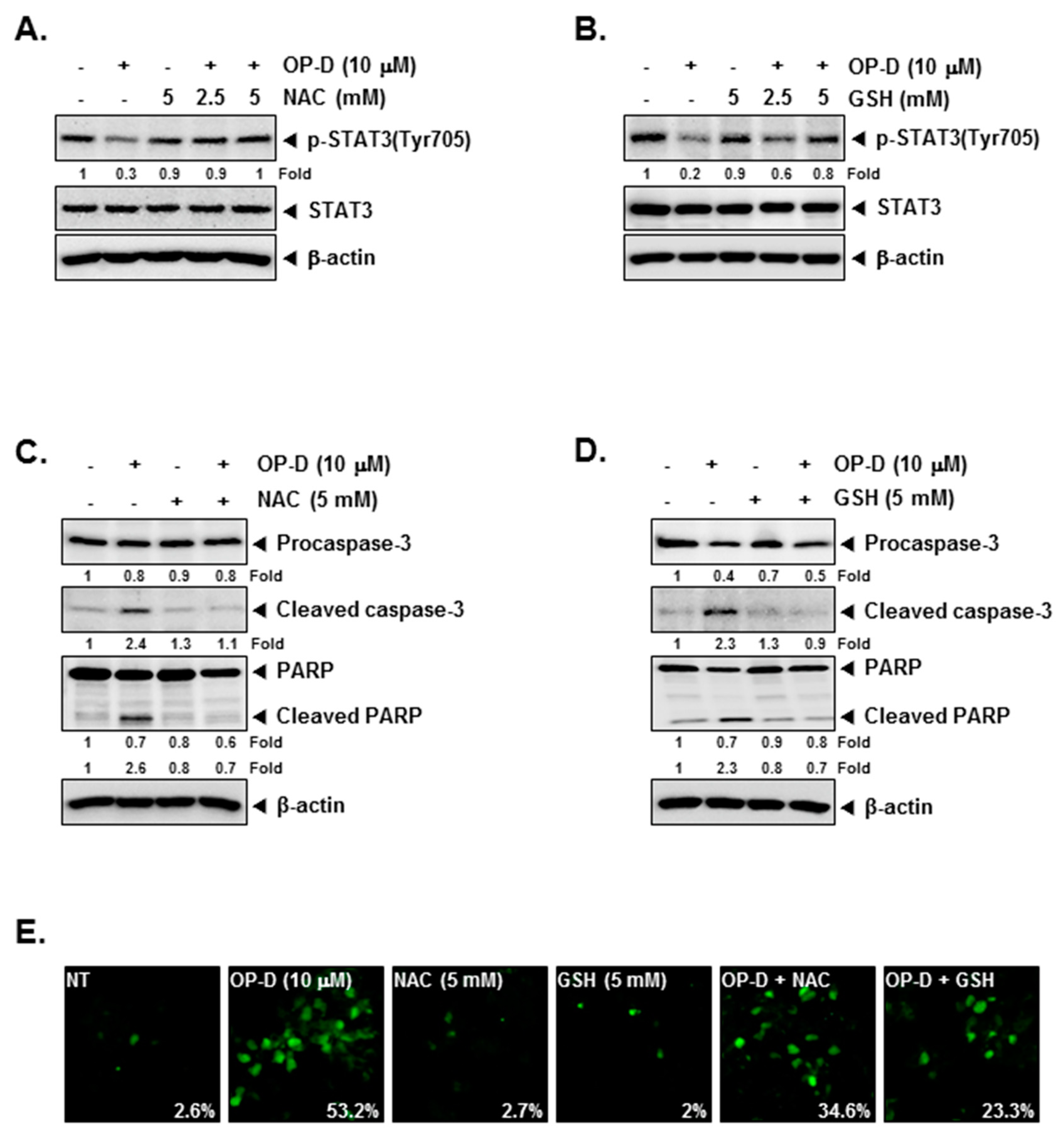 Cancers 10 00427 g004