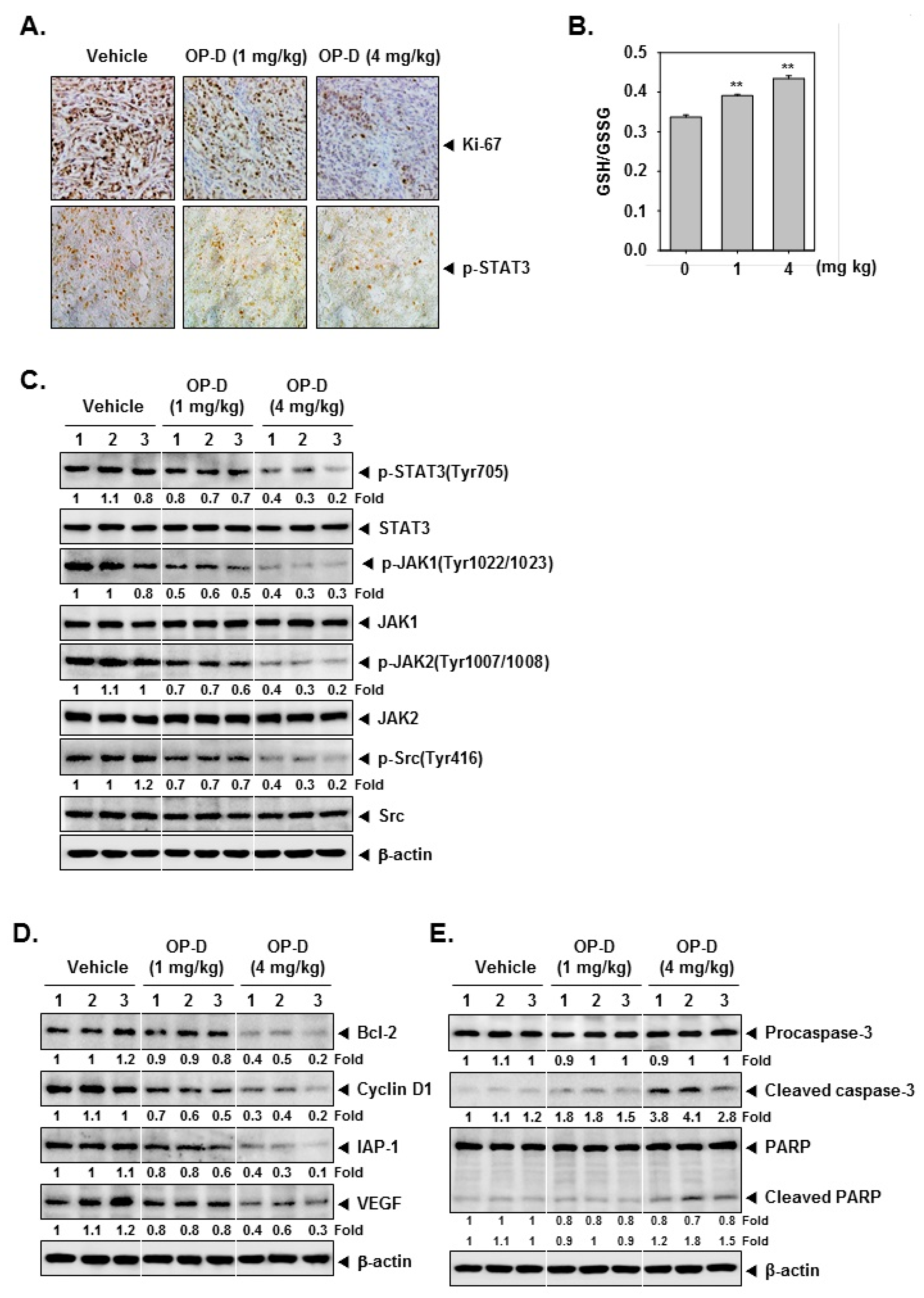 Cancers 10 00427 g007