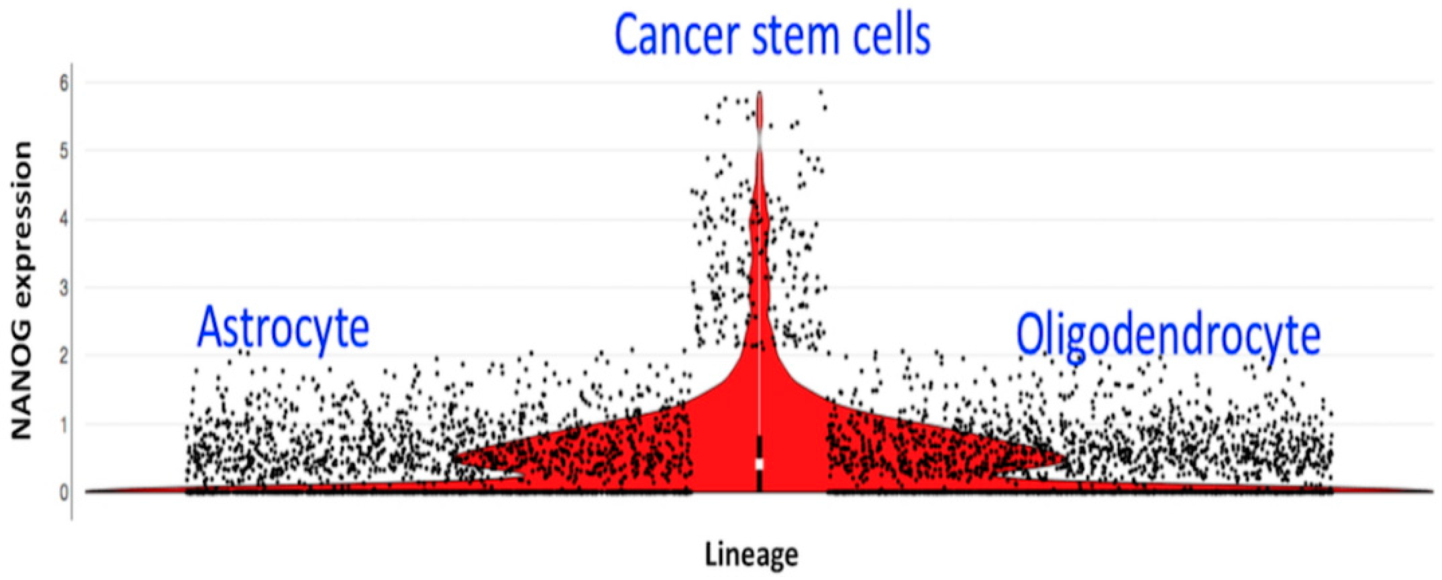 Cancers 10 00431 g001