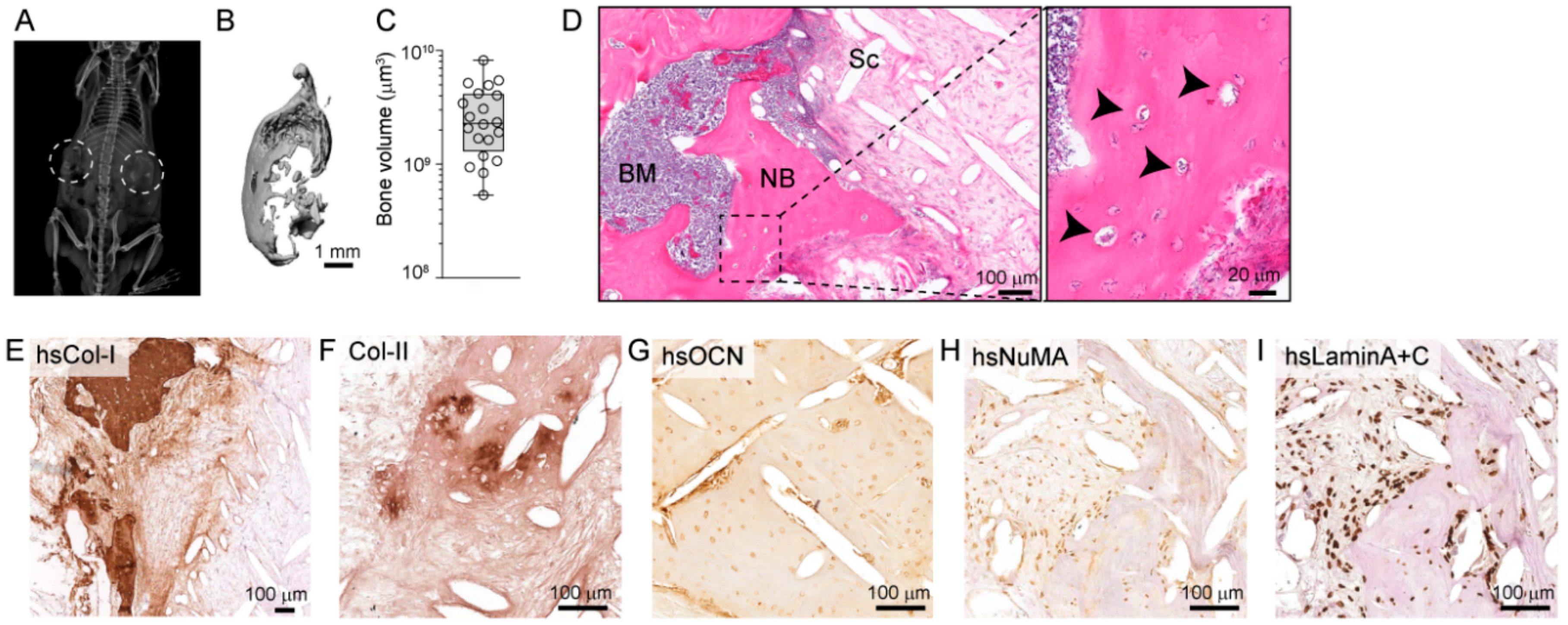 Cancers 10 00438 g001 Cancers 10 00438 g001