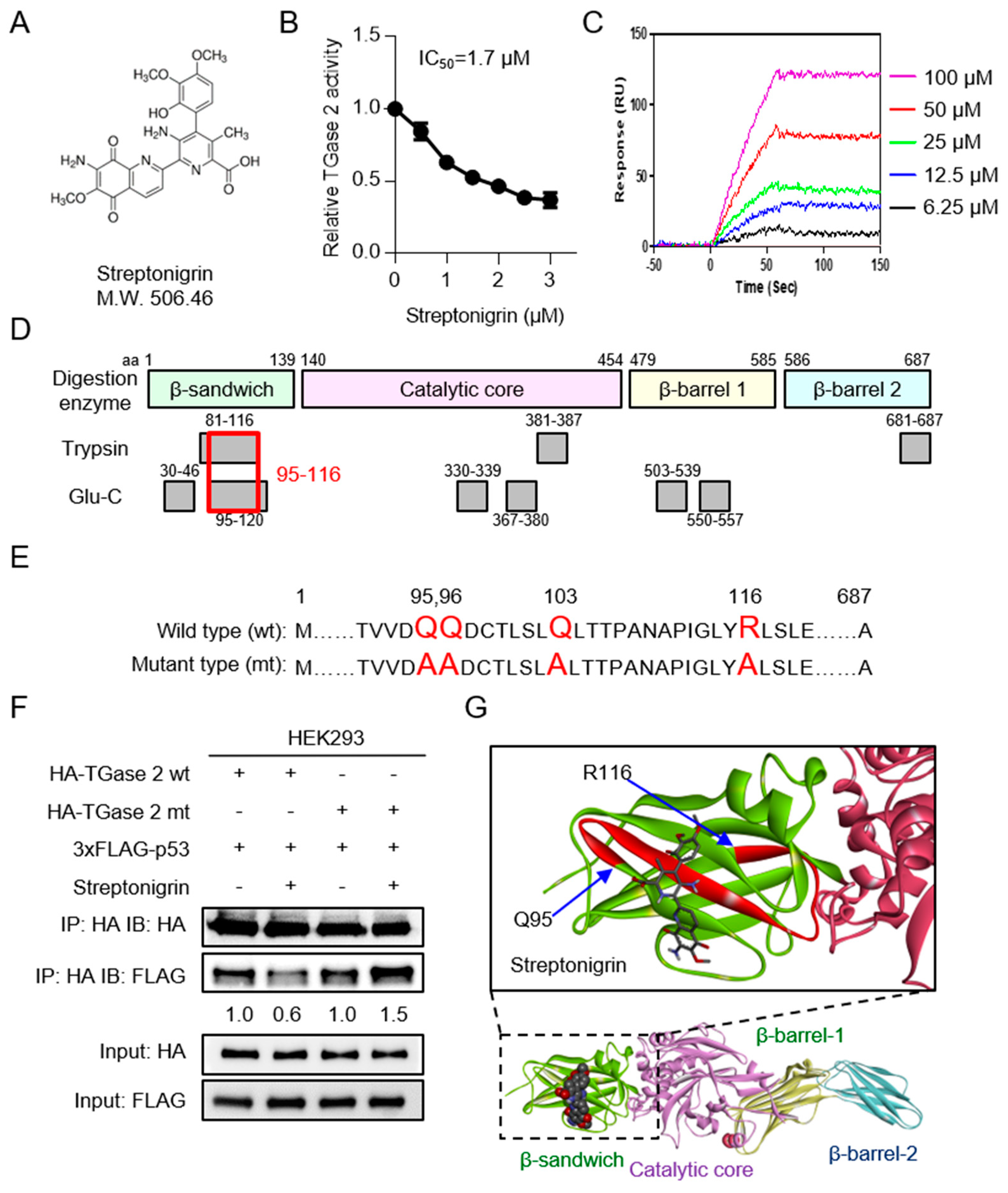 Cancers 10 00455 g002