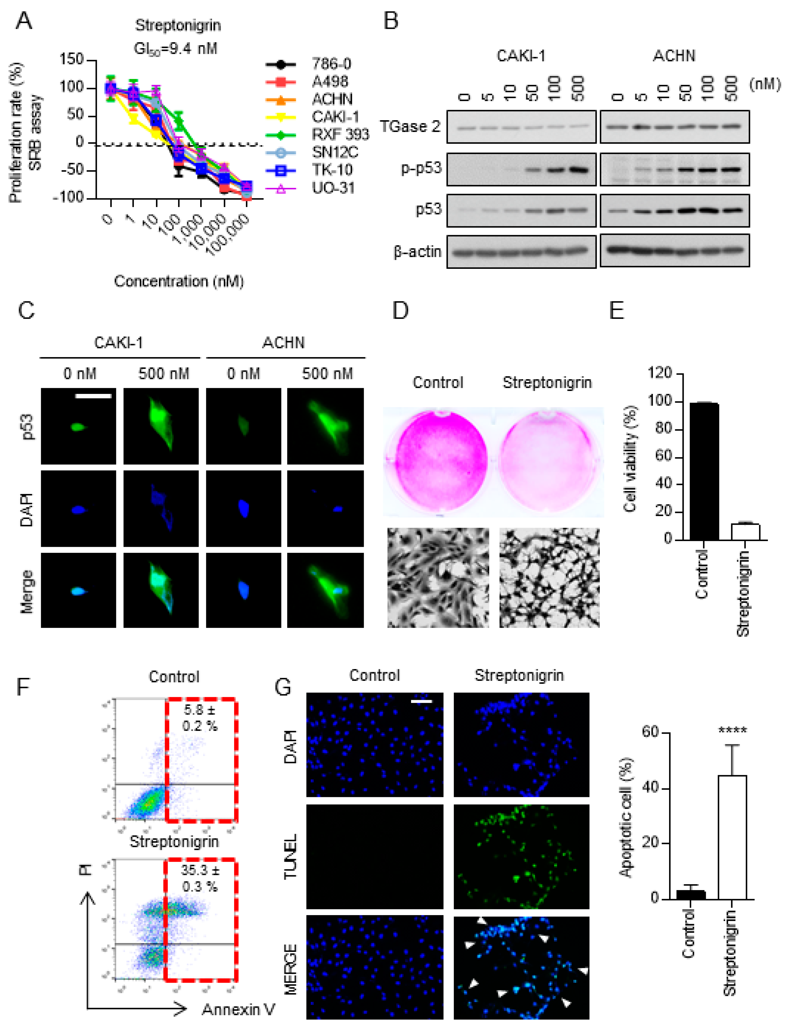 Cancers 10 00455 g003