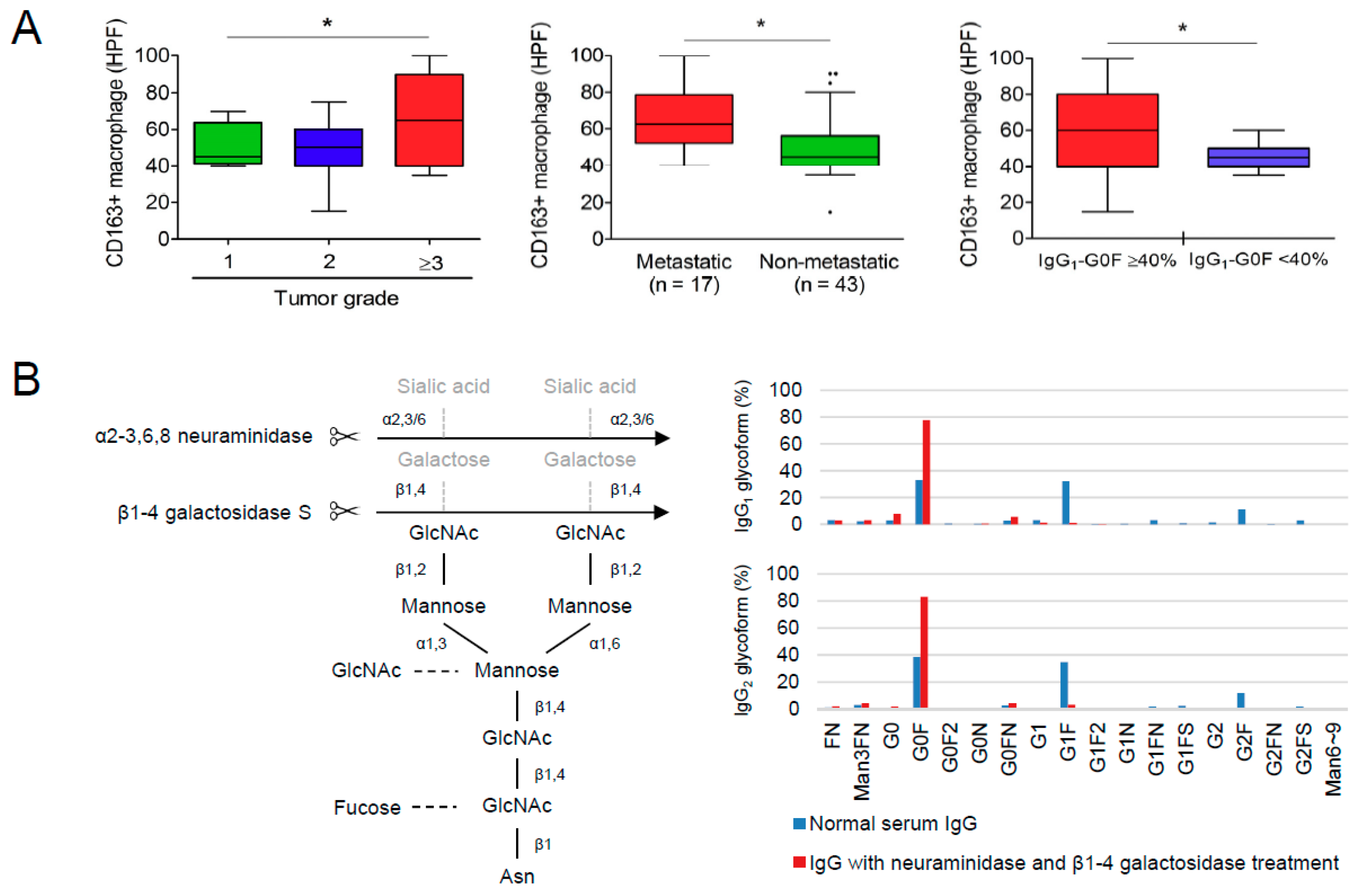 Cancers 10 00460 g002a