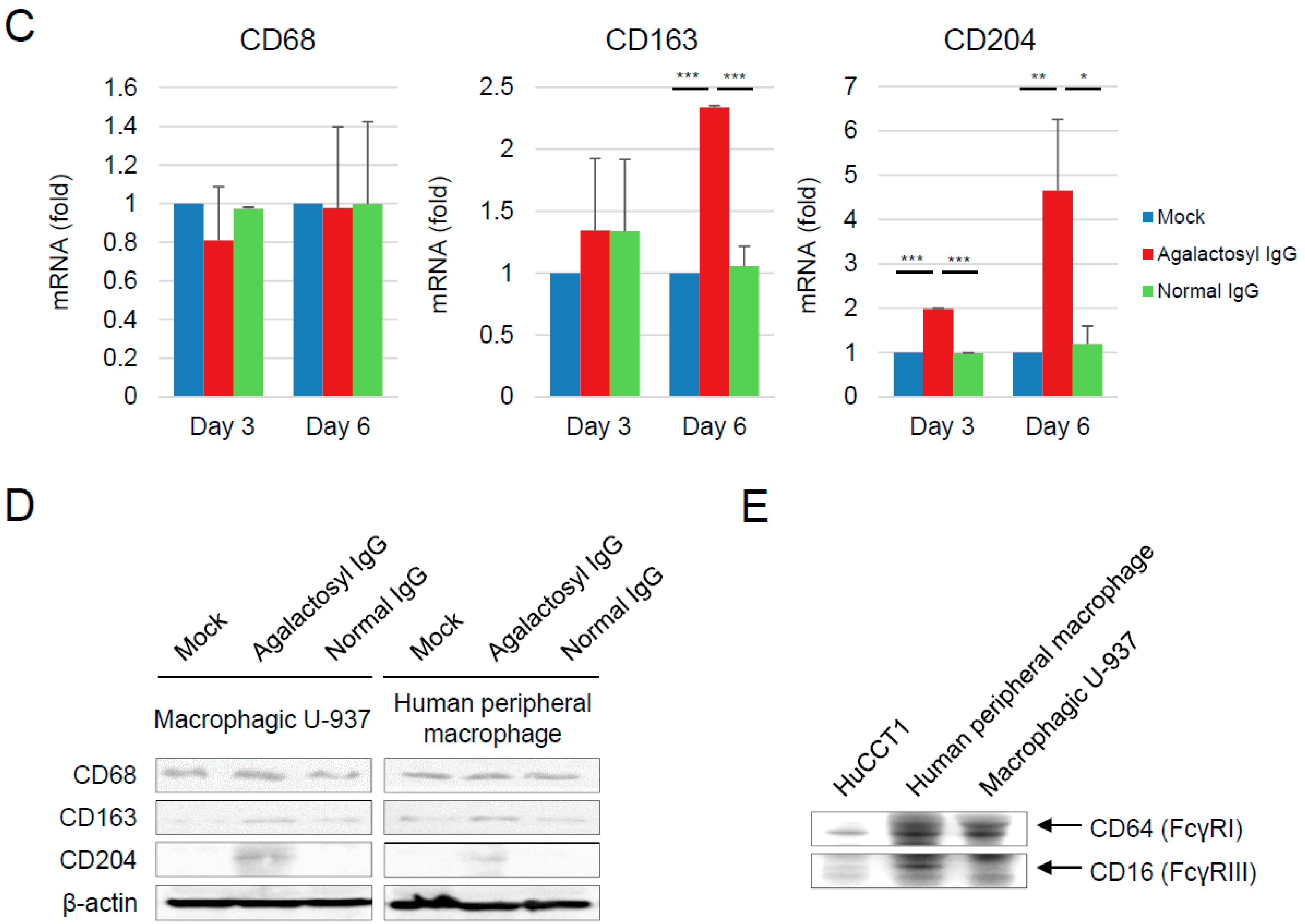 Cancers 10 00460 g002b