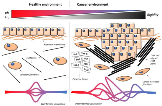 Chemoresistance and the Self-Maintaining Tumor Microenvironment