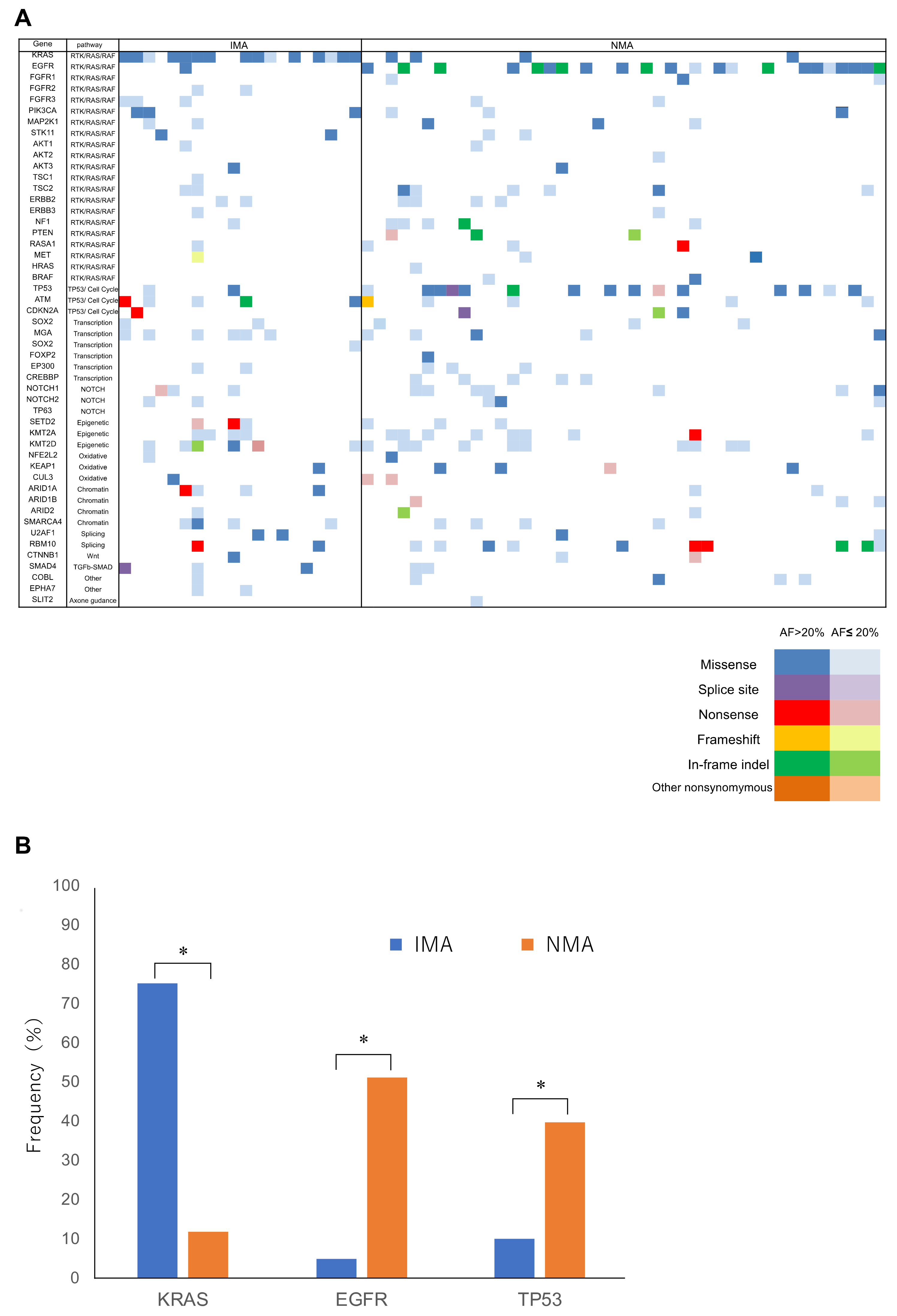 Cancers 10 00478 g001
