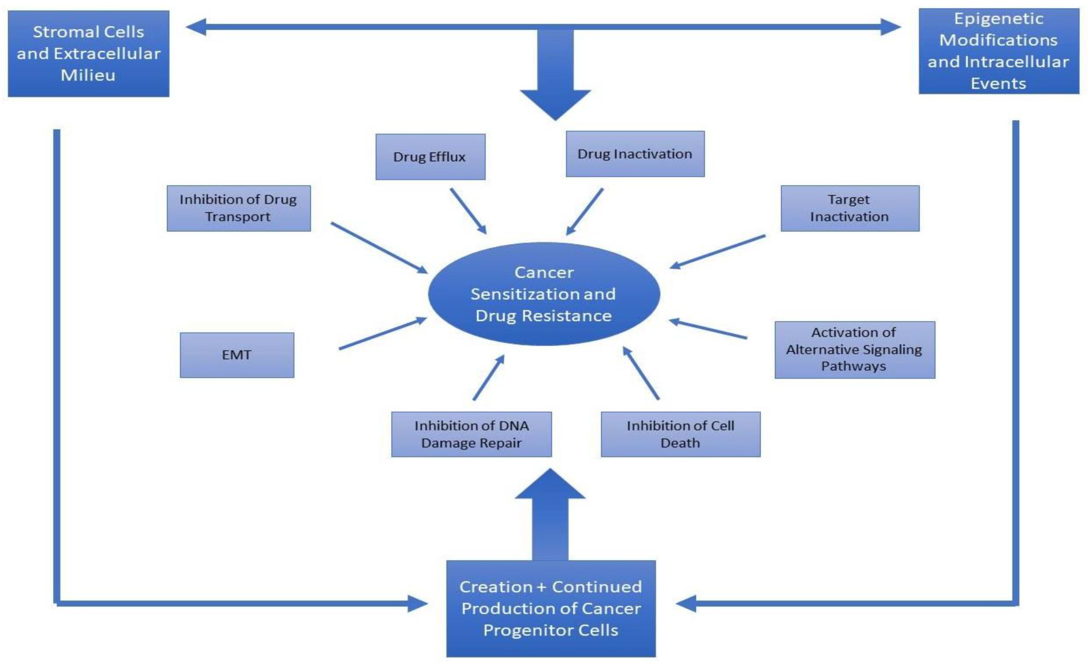 Cancers 10 00483 g001