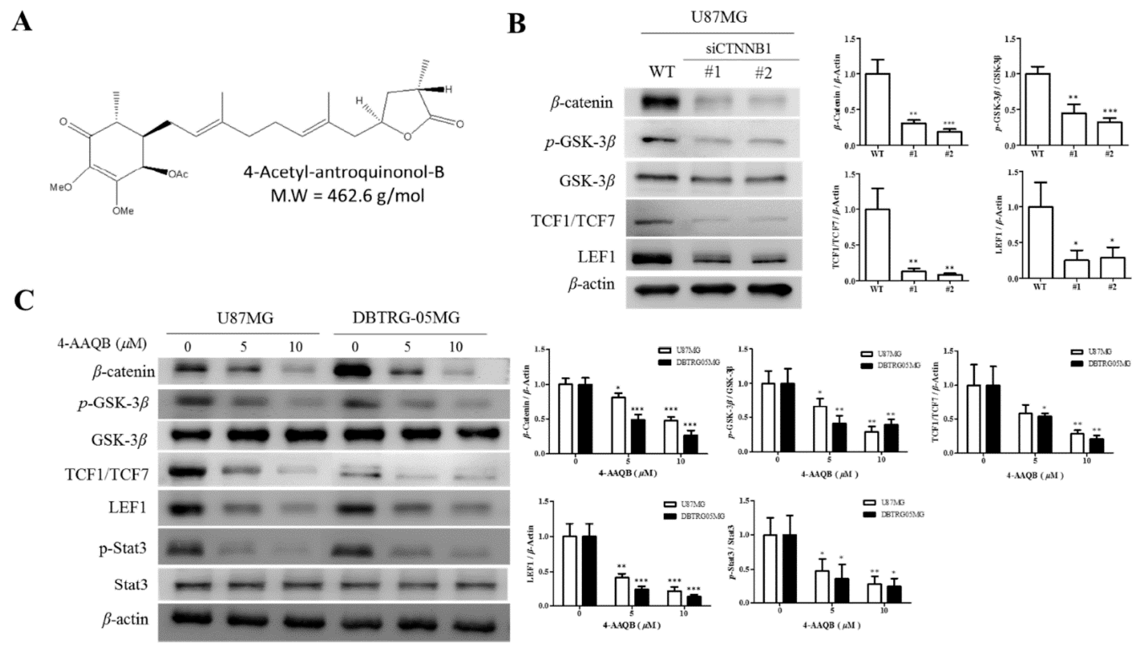 Cancers 10 00491 g003