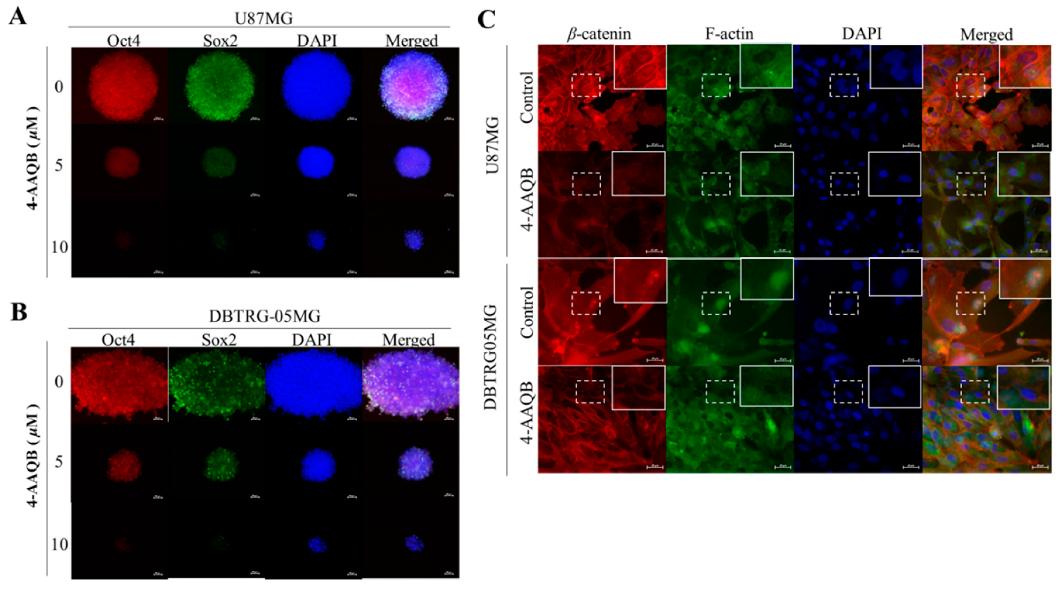 Cancers 10 00491 g004