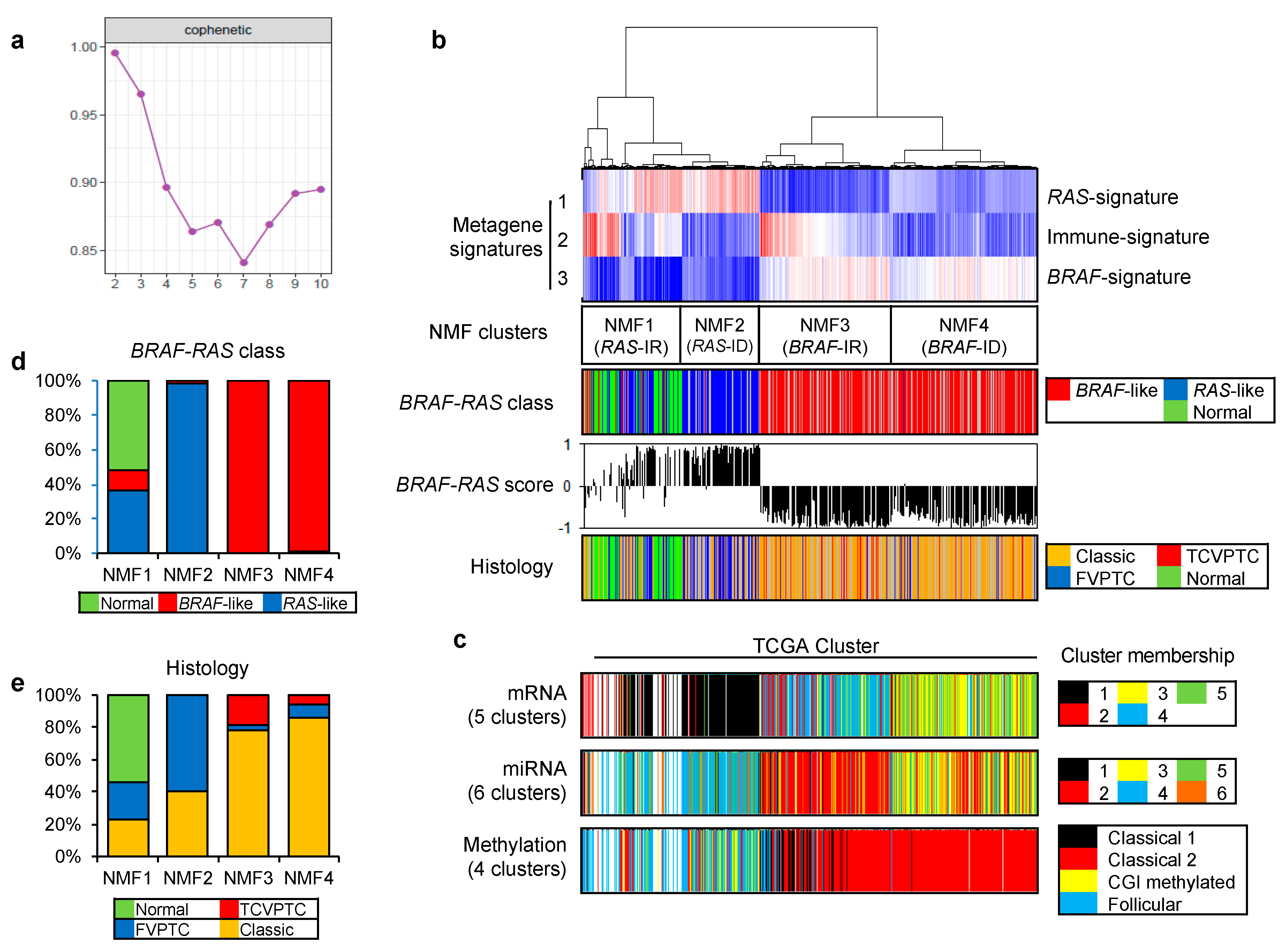 Cancers 10 00494 g001
