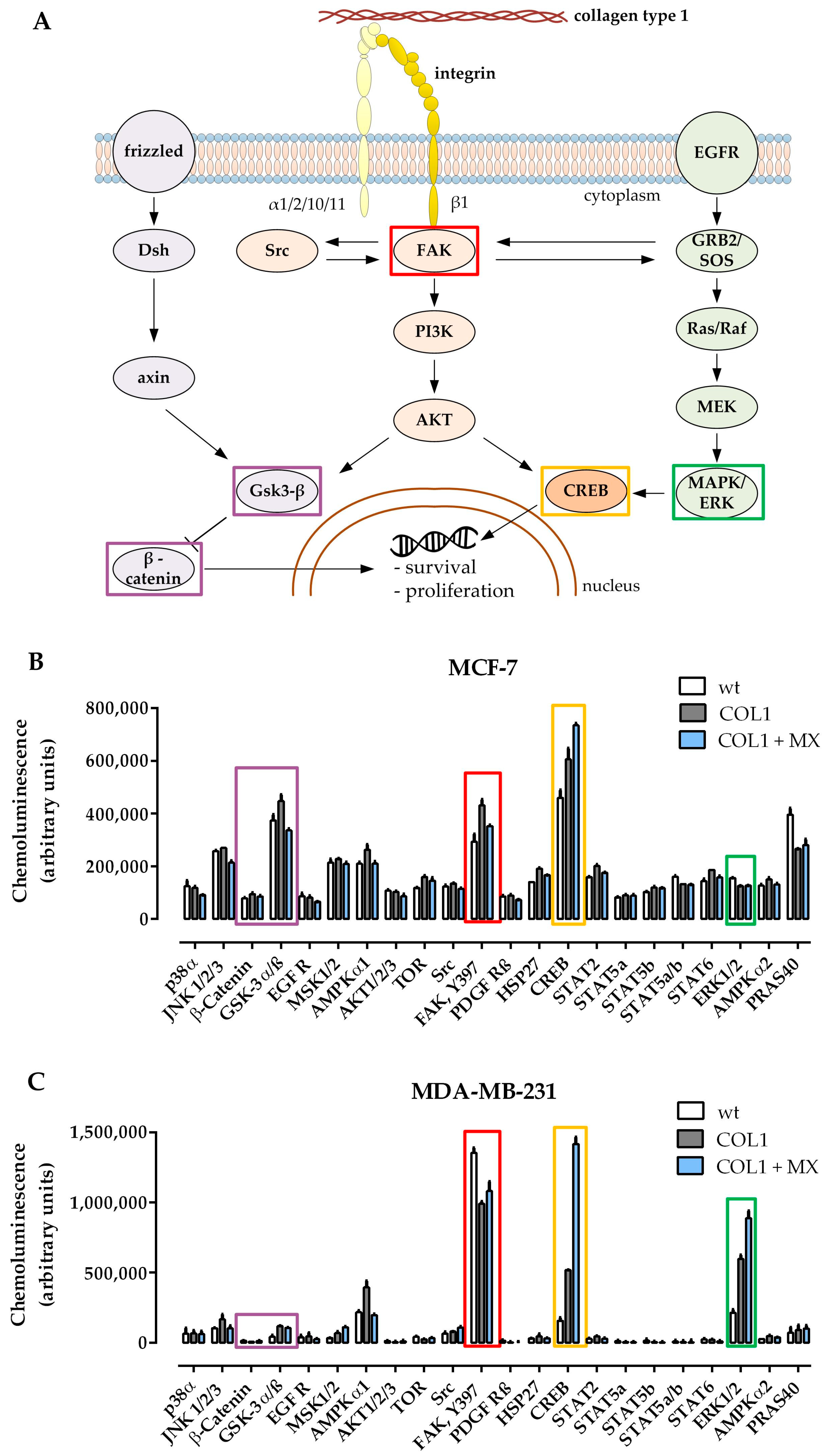 Cancers 10 00495 g001